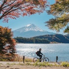 Mount Fuji view at Momiji Tunnel in Autumn season. Mt Fujisan in lake Kawaguchi, Yamanashi, Japan. Landmark for tourists attraction. Japan Travel, Destination, Vacation and Mount Fuji Day concept
2151831563