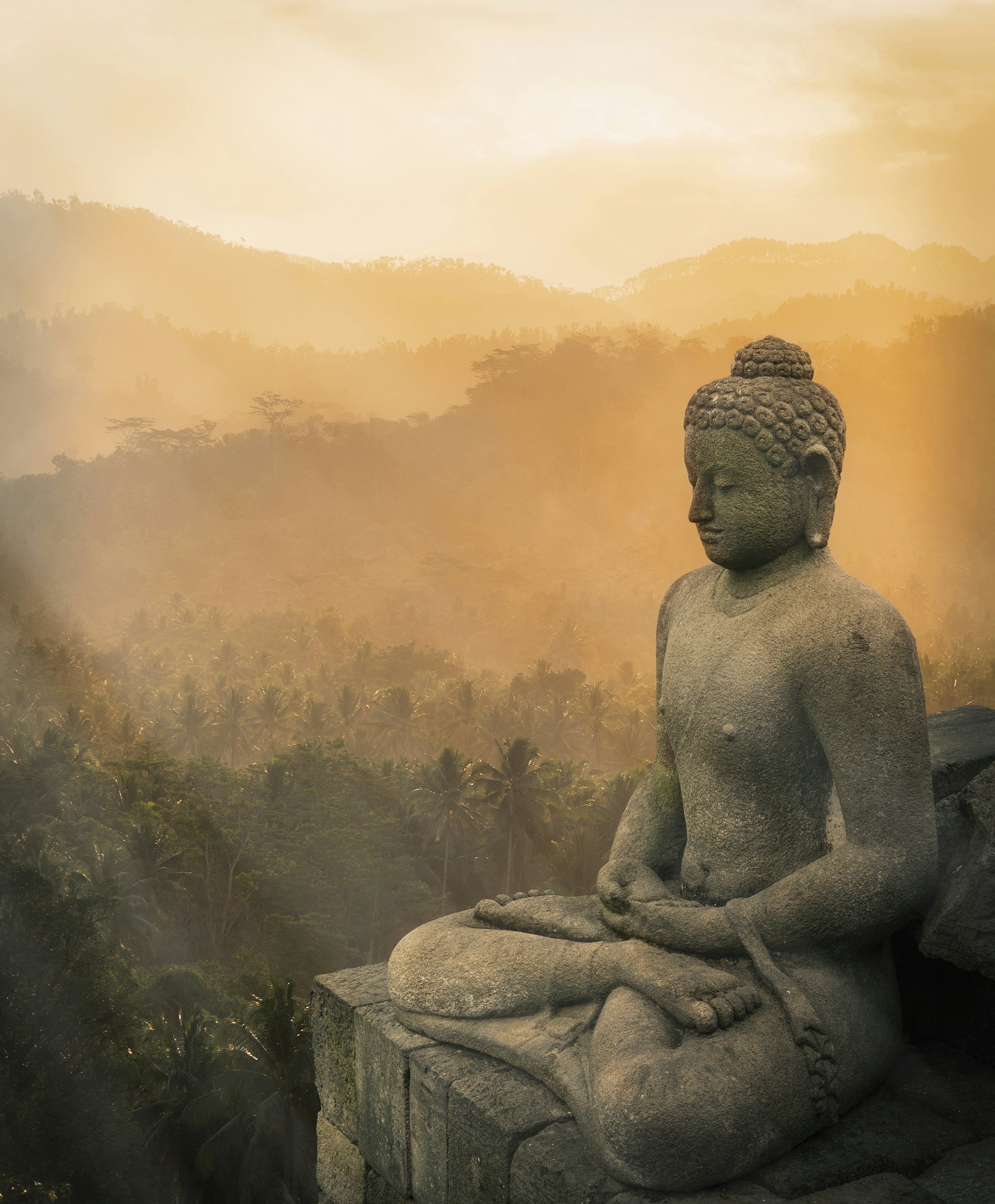 A stone statue of Buddha, sat crossed legged on a plinth above a dense jungle of palm trees.