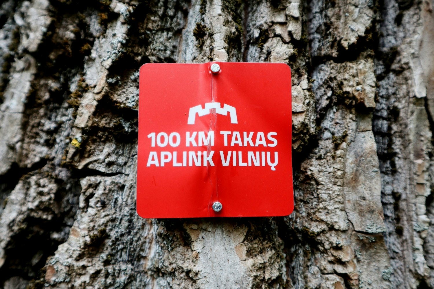 A red sign with white writing reading “100km takas aplink Vilnių” marking the way around a hiking trail in Vilnius, Lithuania.