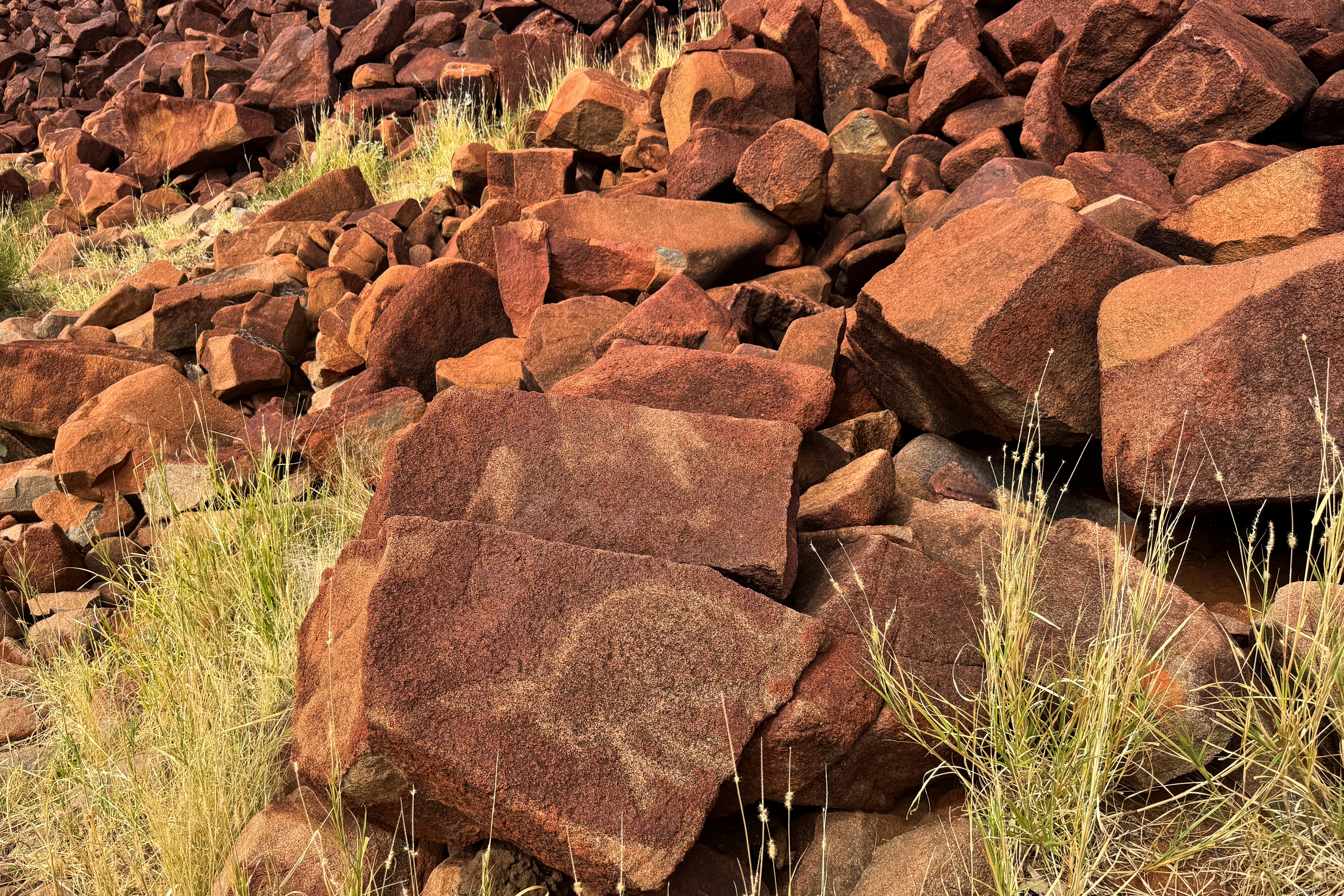 A series of rocks each with the outlines of ancient artworks on them.