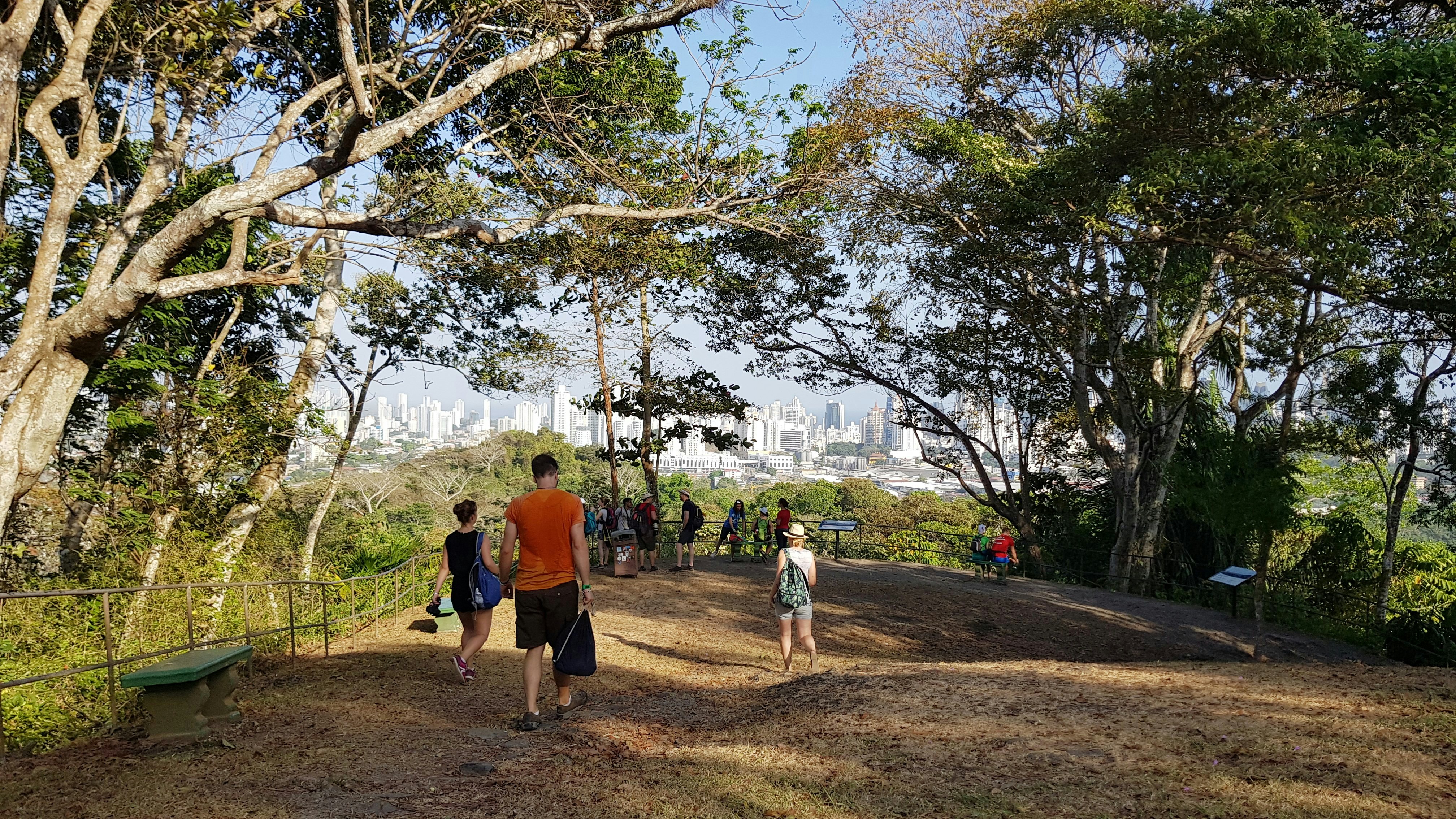 People walking toward a viewing area in a park where a city skyline is visible