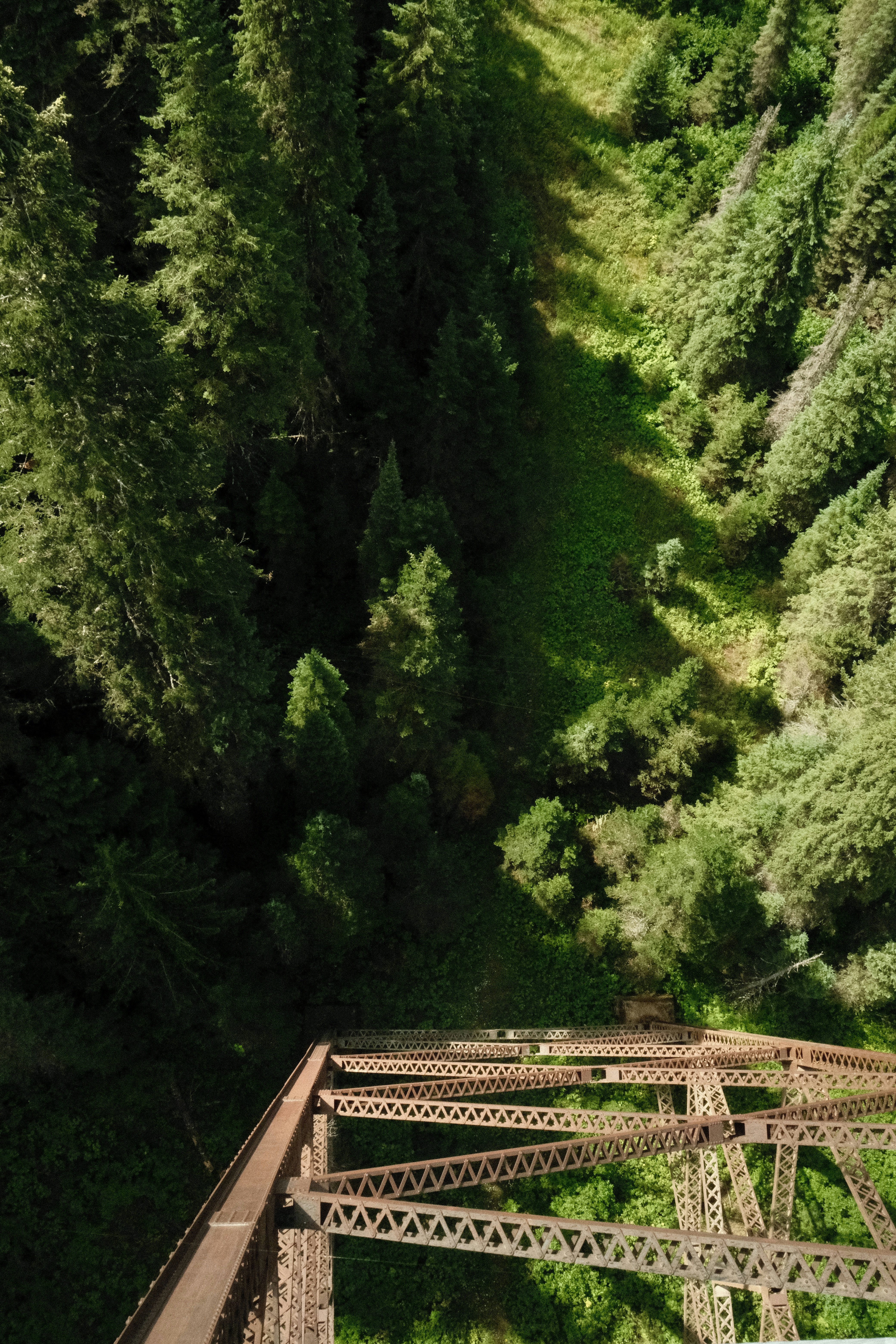 A trestle on the Route of the Hiawatha Trail in Montana and Idaho