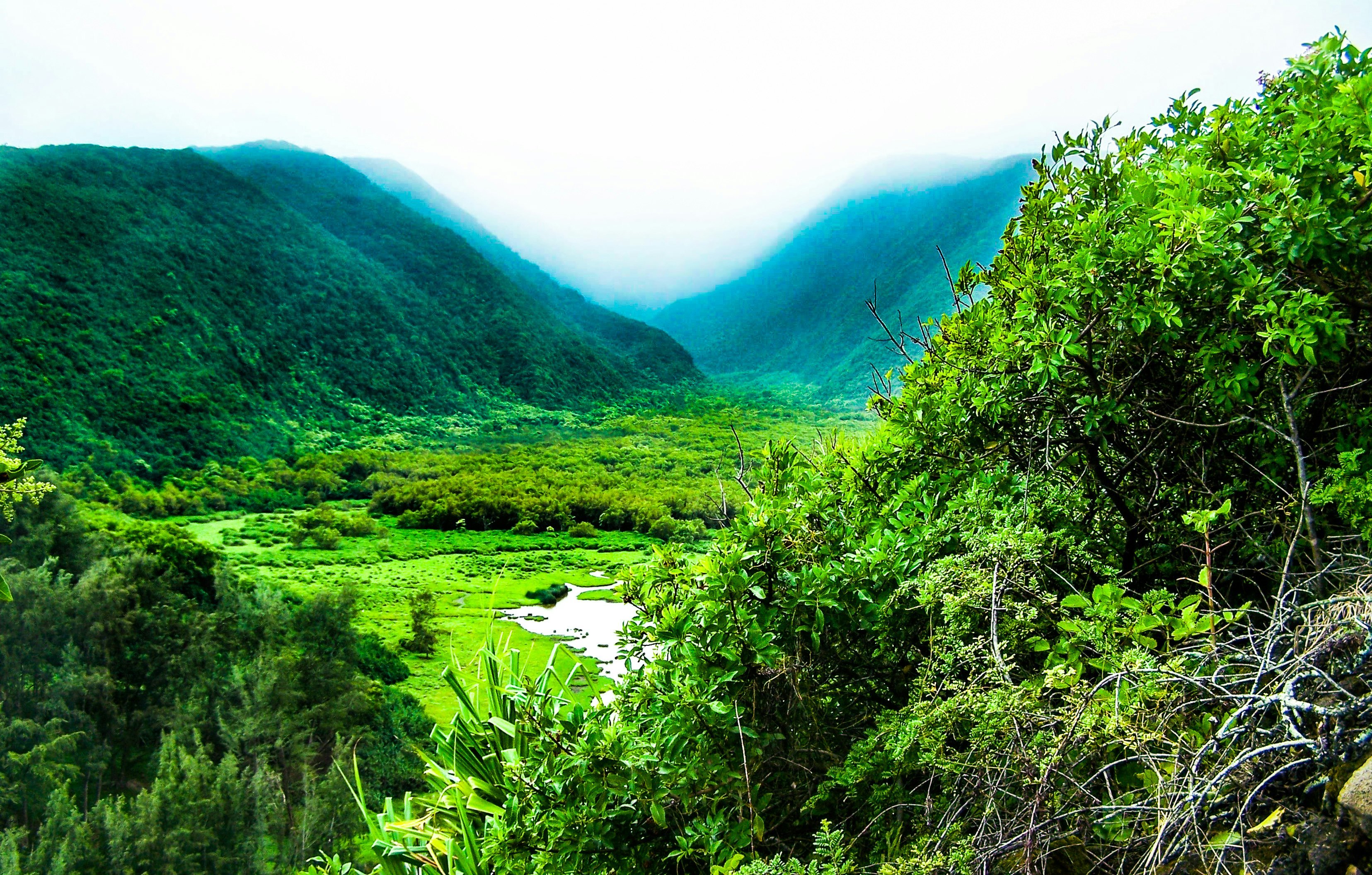 A view of a lush valley with misty clouds hugging the hills in the distance.