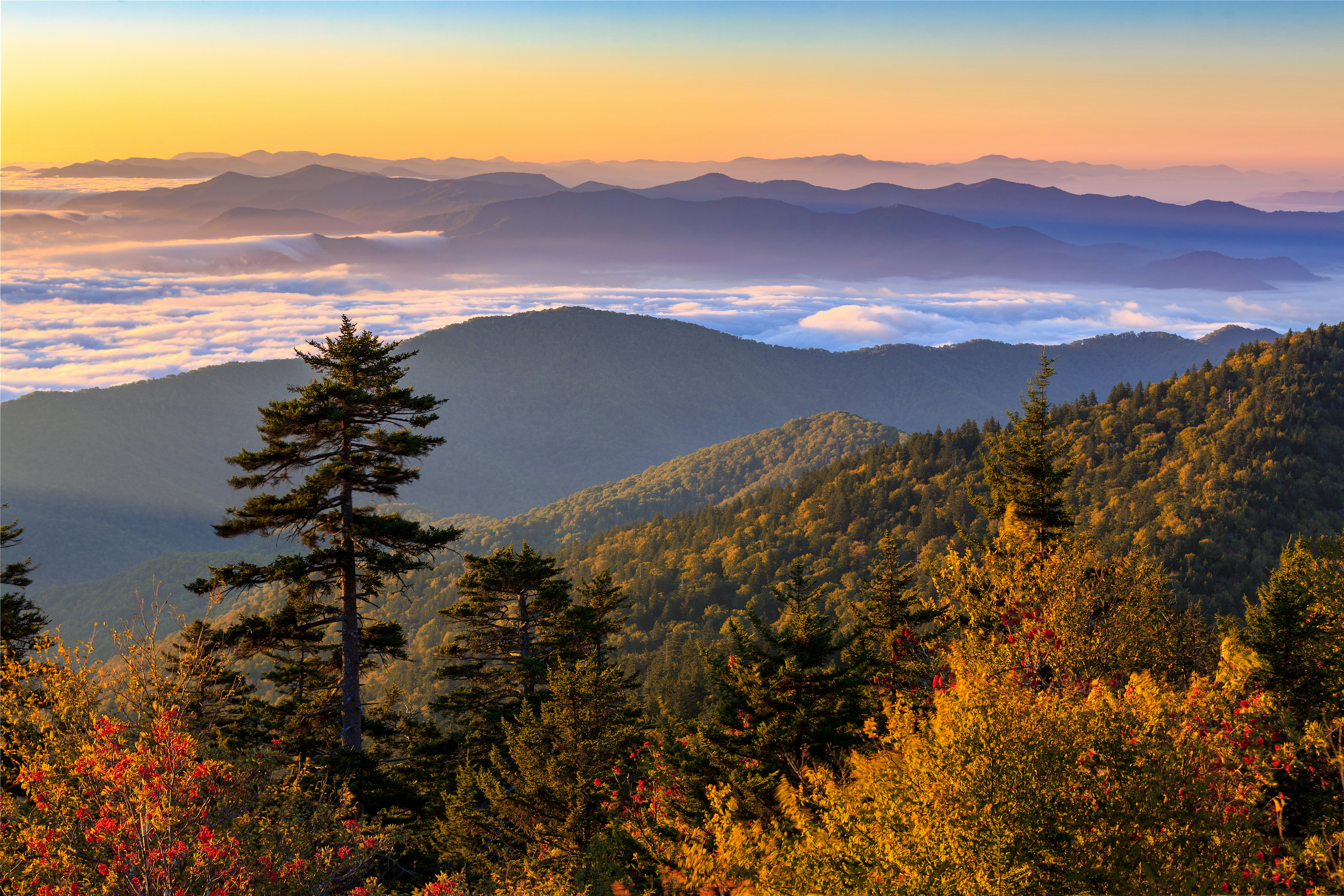 The sun rises over the Smoky Mountains at Clingman's Dome in Great Smoky Mountains National Park, Tennessee License Type: media Download Time: 2023-10-03T22:04:59.000Z User: claramonitto Is Editorial: No purchase_order: