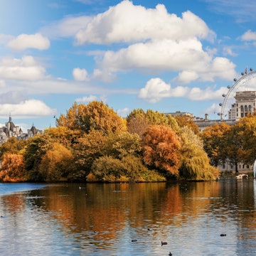 View towards St. James Park in London during autumn season with golden trees and sunshine, United Kingdom License Type: media Download Time: 2022-01-17T23:33:47.000Z User: mvm_lonelyplanet Is Editorial: No purchase_order: