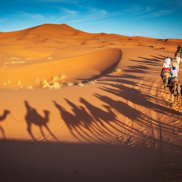 camels trekking guided safari tours in Merzouga Morocco Sahara desert camel tour with berber guide Dubai Oman Bahrain Kuwait riding camel shadows License Type: media Download Time: 2023-06-18T19:42:27.000Z User: Is Editorial: No purchase_order: 56530