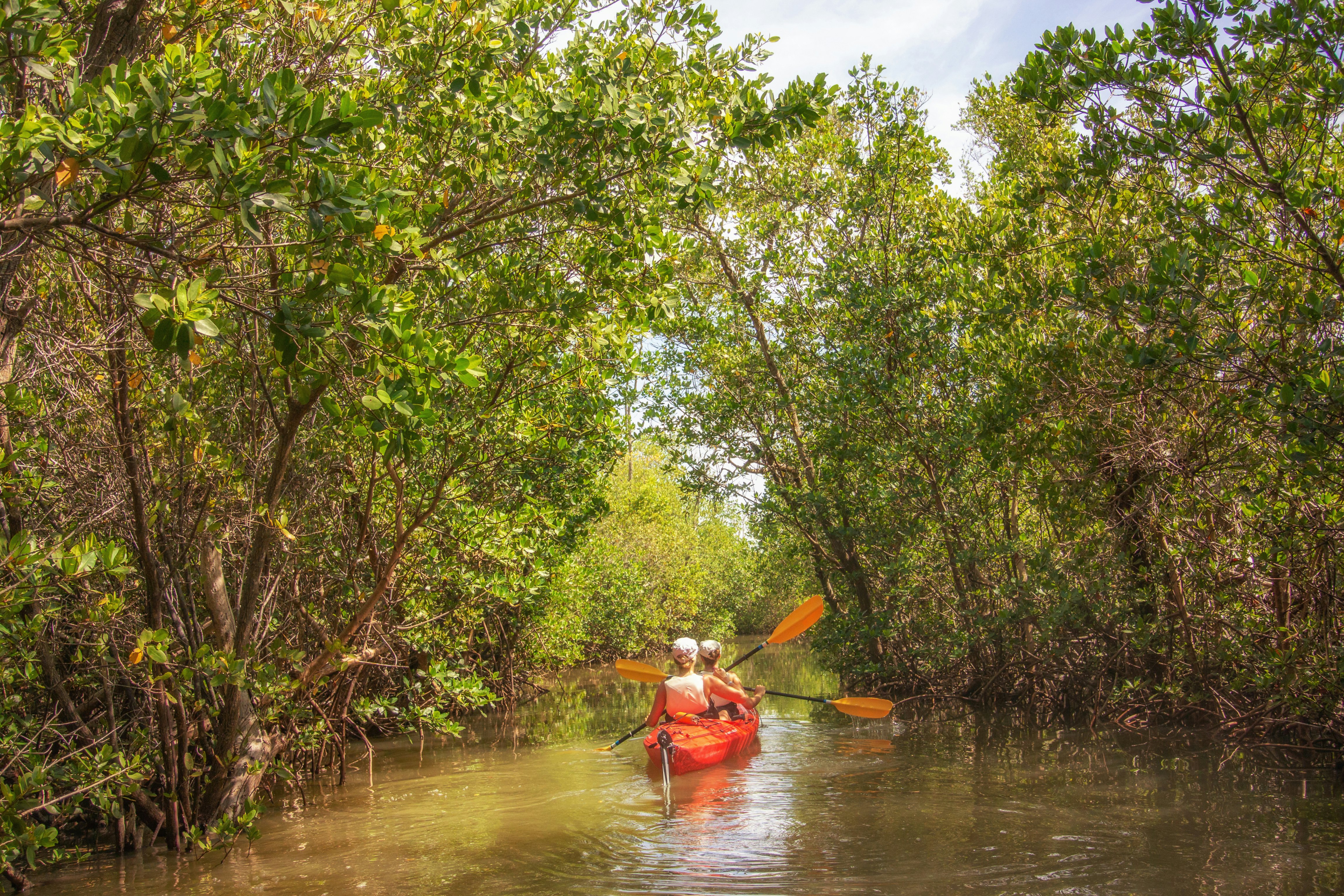 Two people paddle along a narrow channel in a canoe.