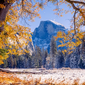 Cook's Meadow. Autumn first snow in Yosemite National Park, California, USA. License Type: media Download Time: 2023-09-28T17:24:15.000Z User: Norma.PrauseBrewer_LonelyPlanet Is Editorial: No purchase_order: