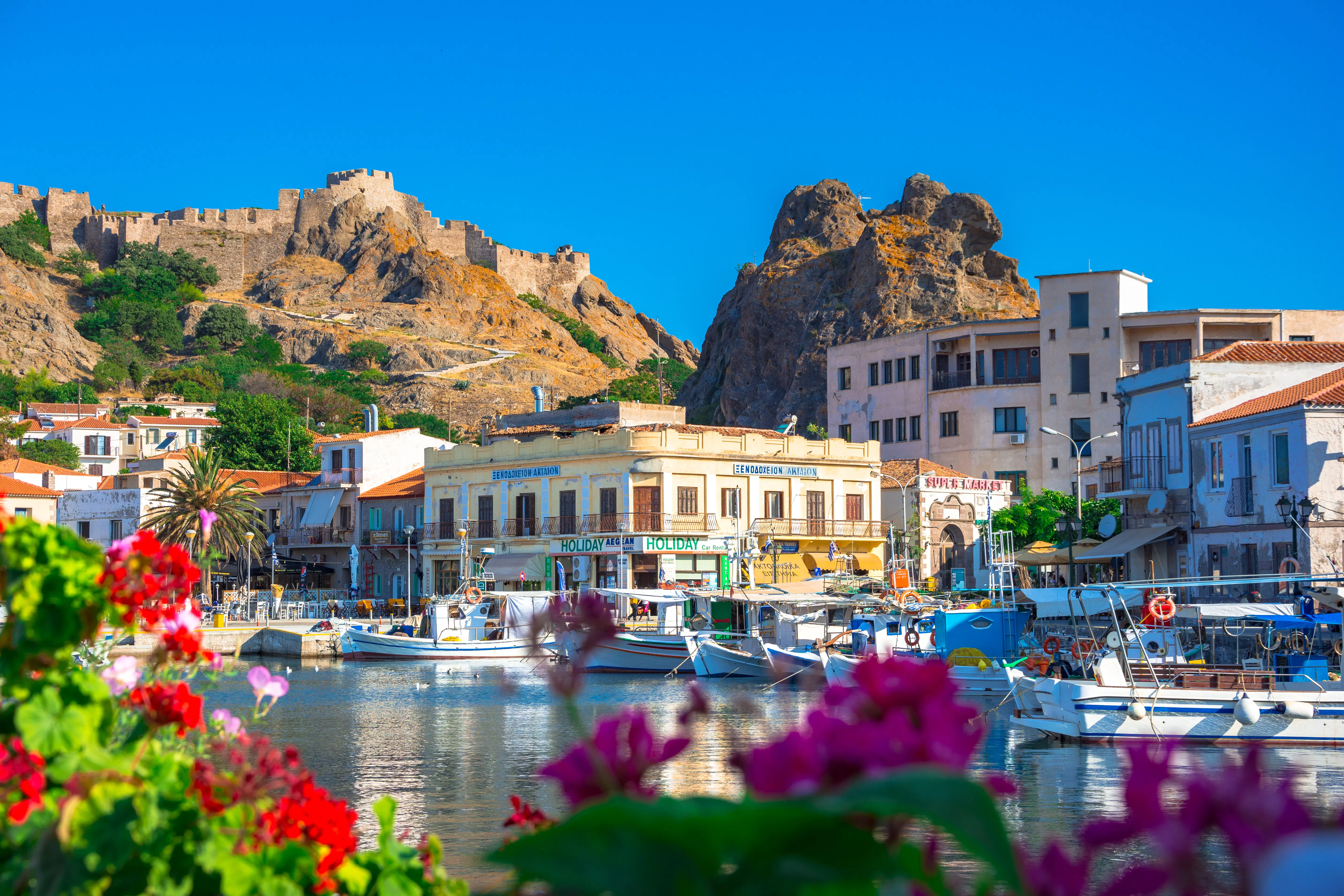 Flomaria What to eat and drink in Greece - Lonely Planet