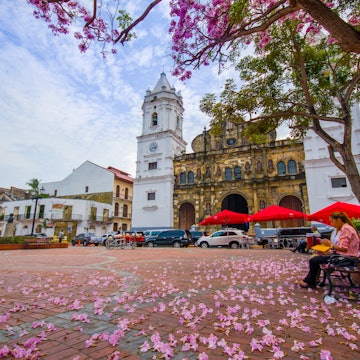 Panama Cathedral, Sal Felipe Old Quarter, UNESCO World Heritage Site, Panama City, Panama, Central America License Type: media Download Time: 2023-08-29T02:50:24.000Z User: dermothegarty77 Is Editorial: Yes purchase_order: