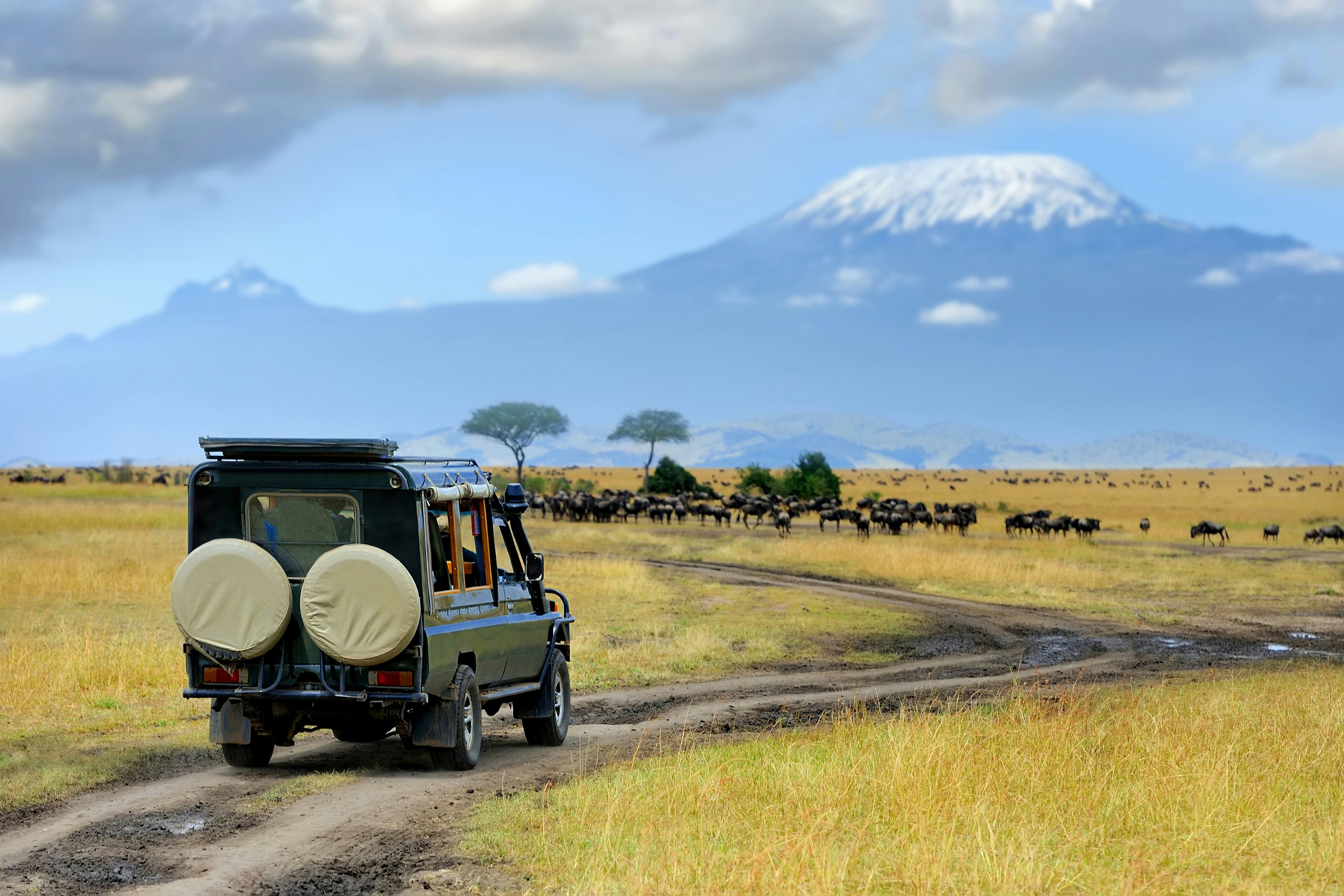 A vehicle on a dirt track through grassland in Kenya; wildebeest are grazing in the distance, and there is a snow-capped mountain in the background.