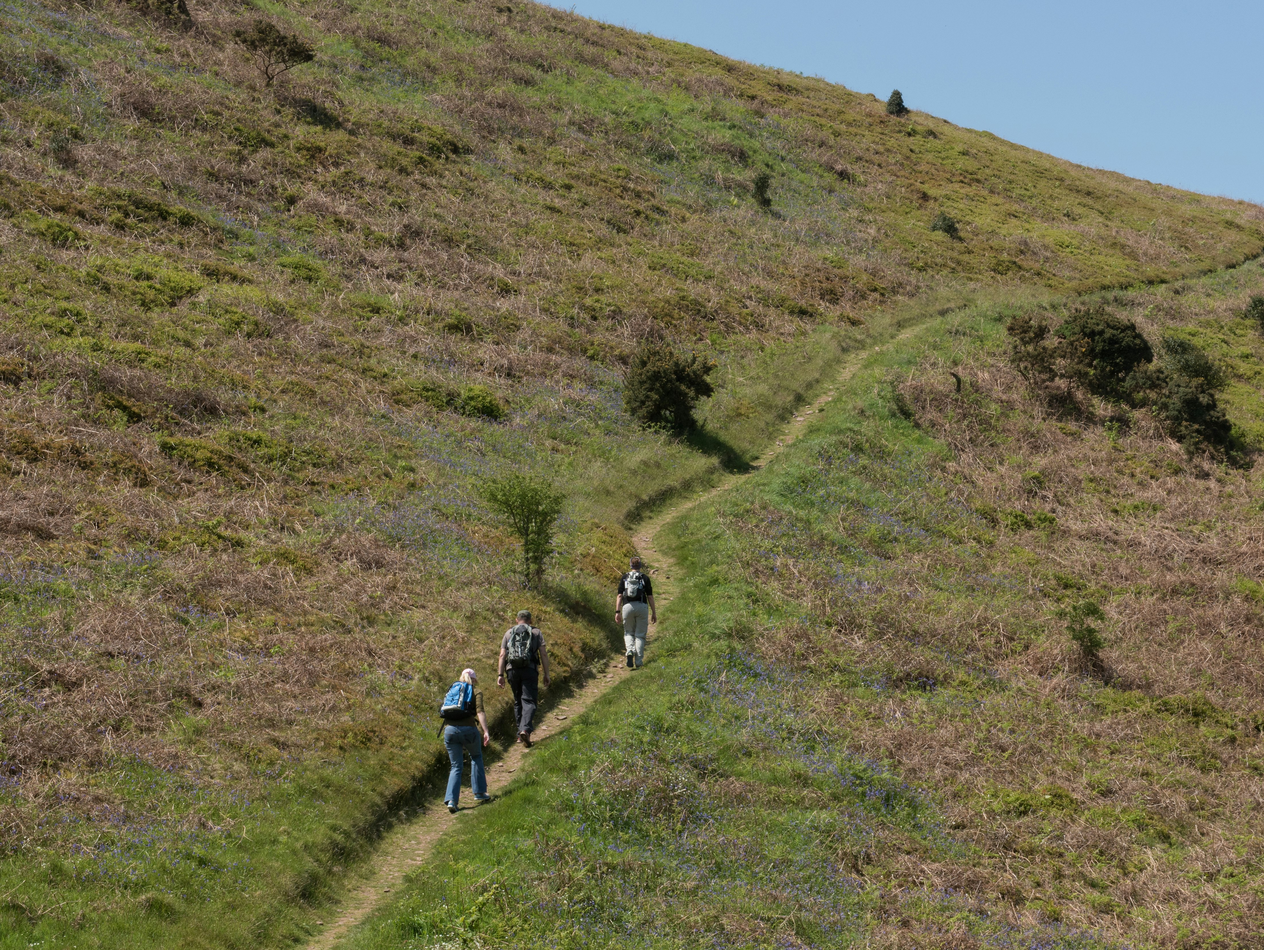 Group of Three Walkers, one Male and two Female, on North Hill on the South West Coastal Path between Minehead and Porlock Weir in Somerset, England, UK