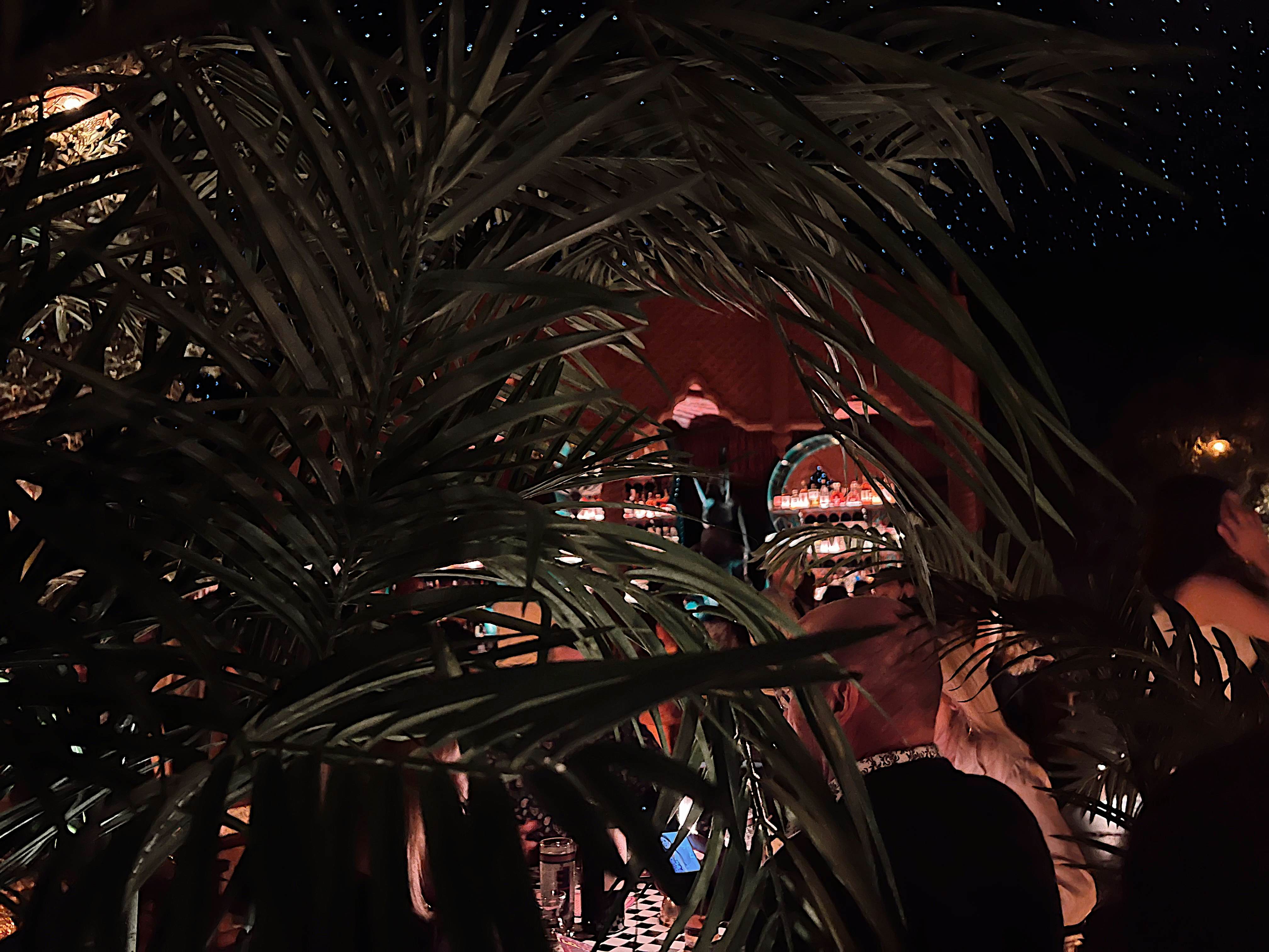 Looking through ferns at a red-lit bar.