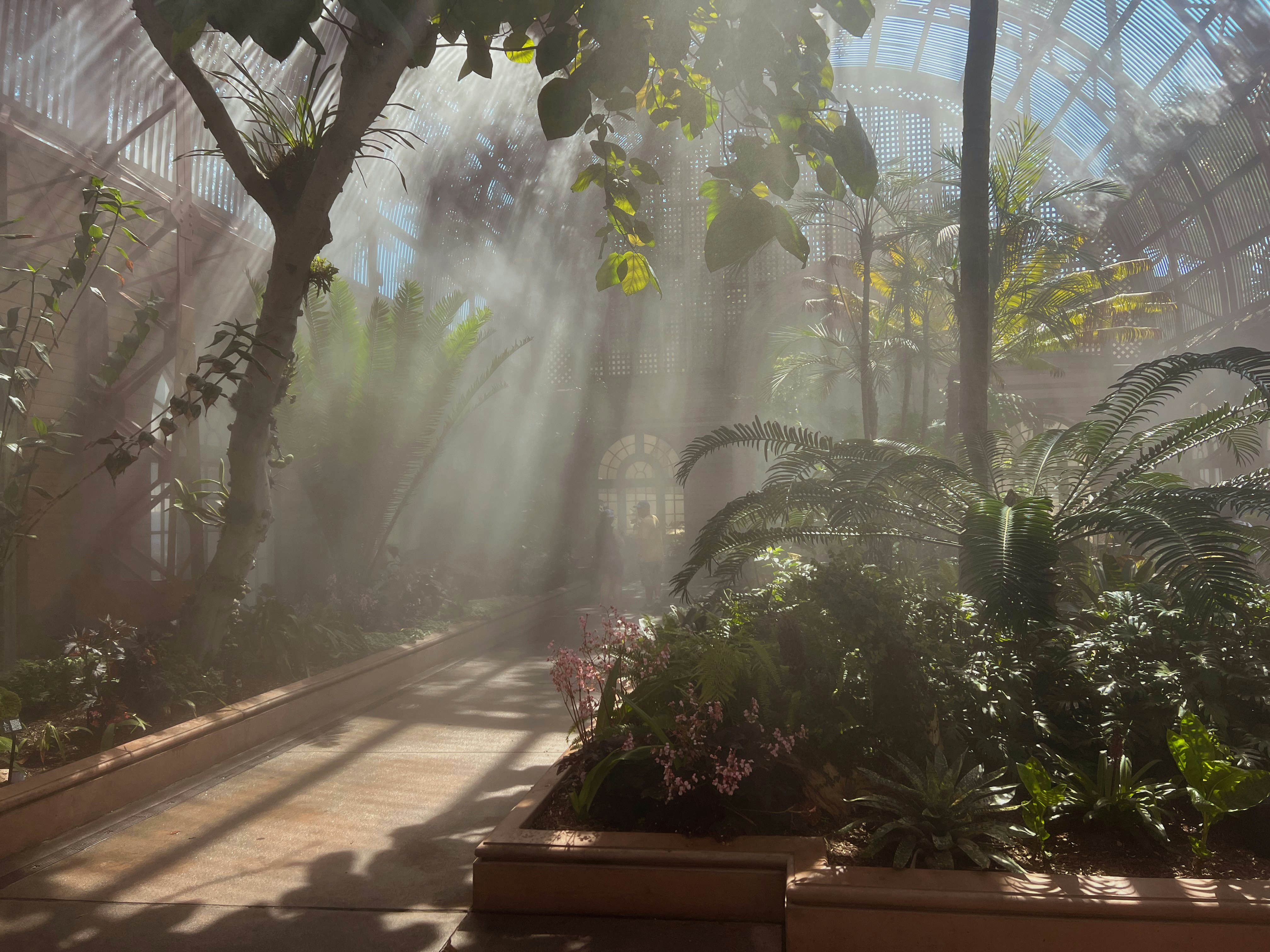 inside the greenhouse at Balboa Park San Diego, California