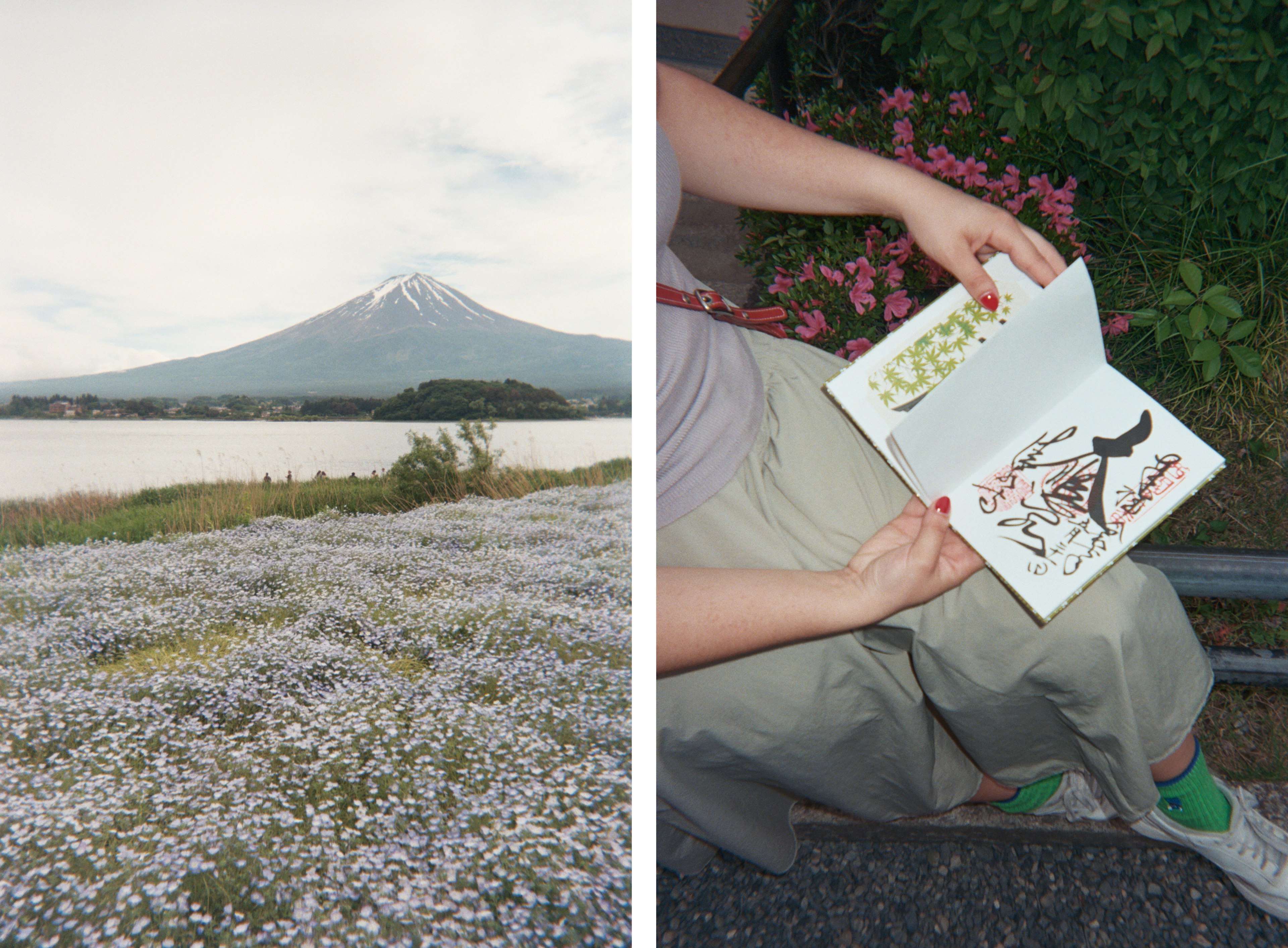 Left, the view of Mt Fuji from Oishi Park in Oishi, Japan. Right, collecting a goshuin stamp at a shrine in Kyoto.