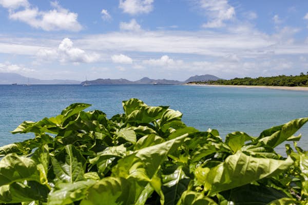 The 10 best things to do in Nevis