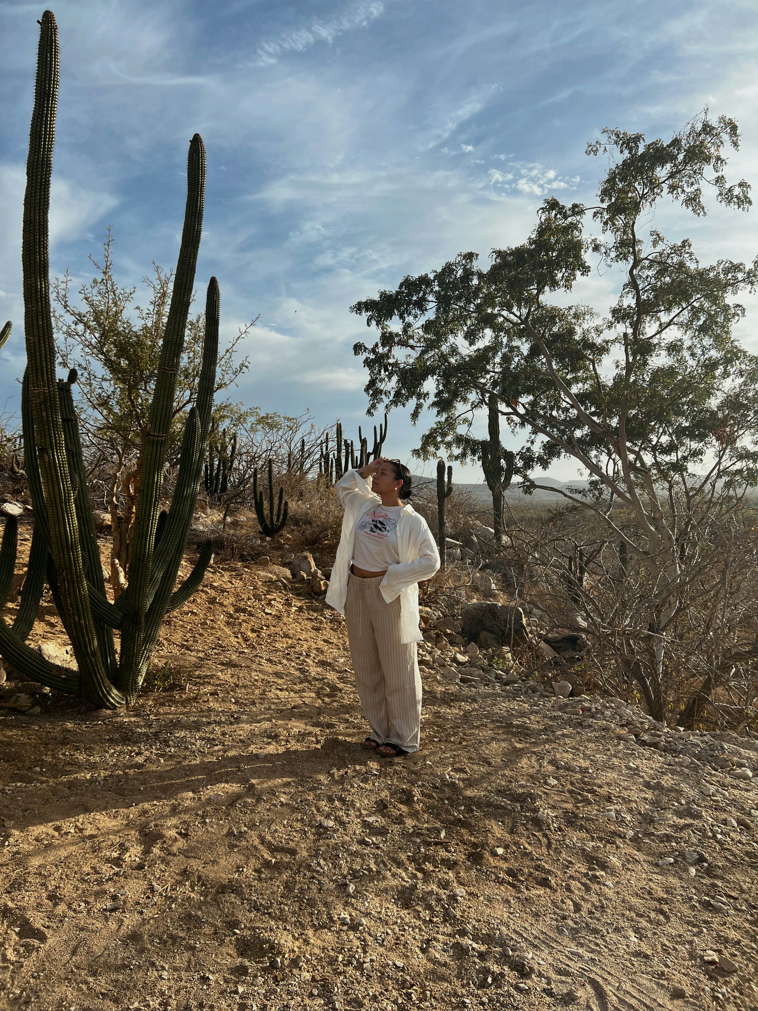 A woman on a path looking up at nature on a sunny day.
