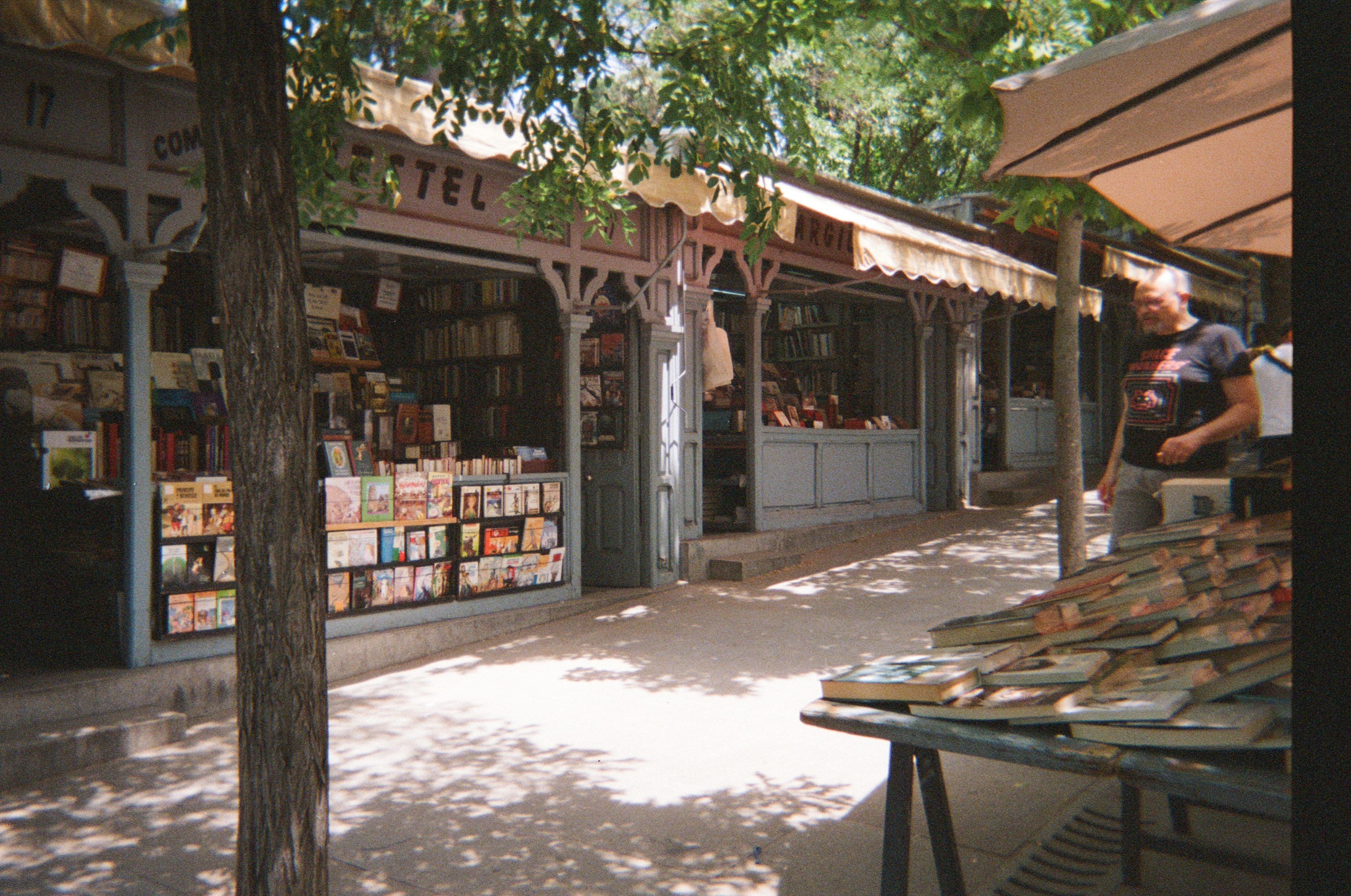 A view of book stalls with a dirt path between them and trees overhead