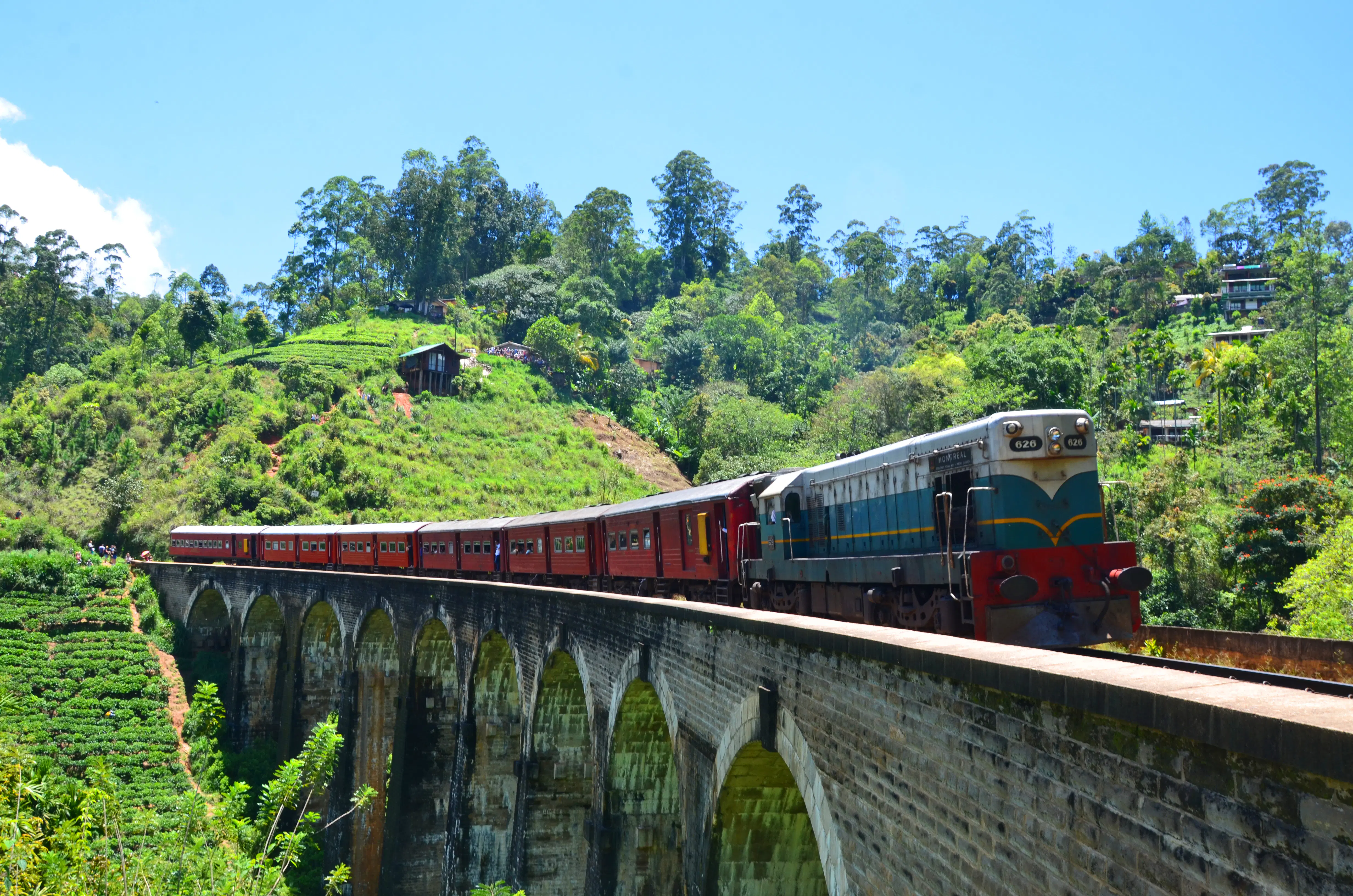 The best time to visit Sri Lanka - Lonely Planet