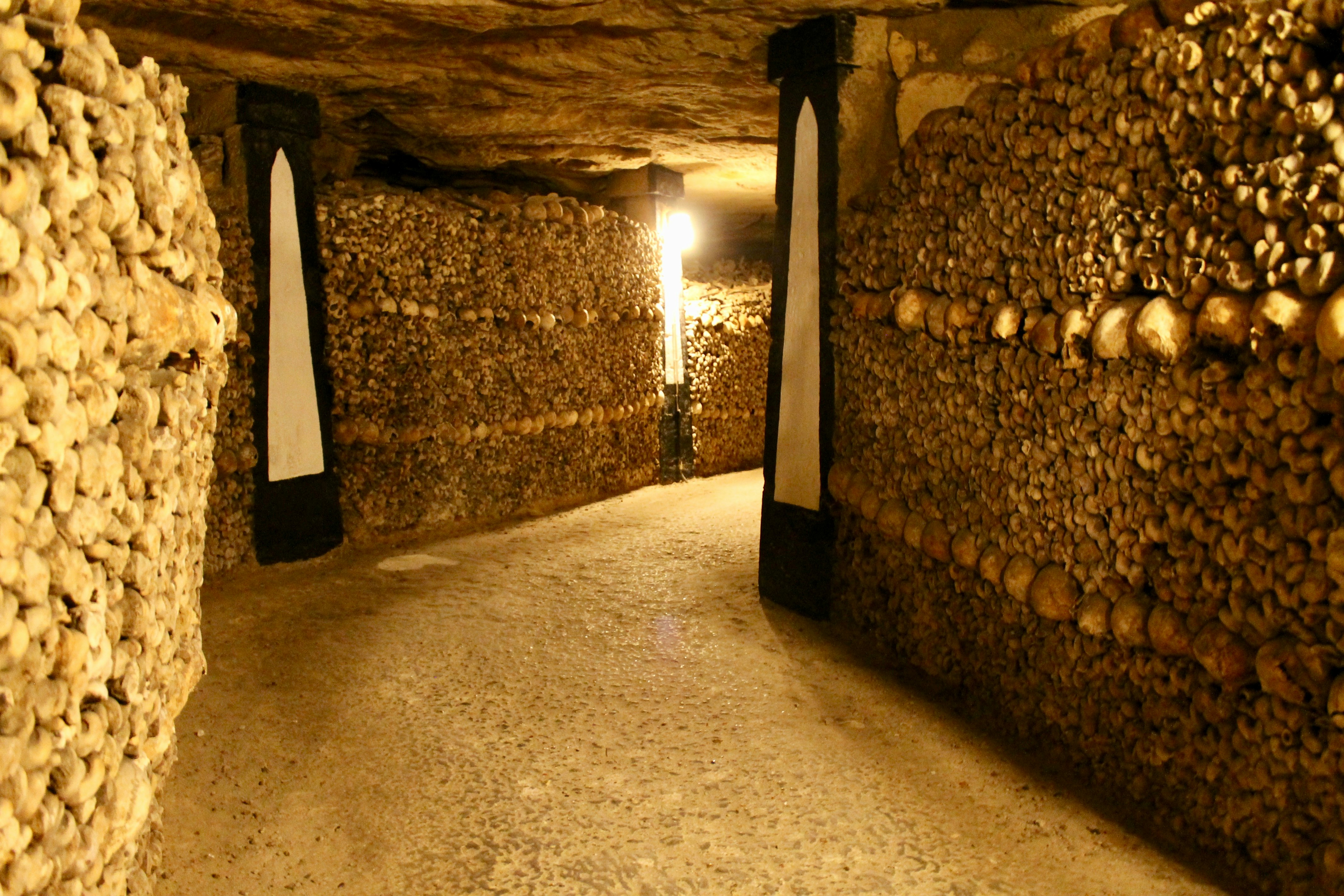 An underground passageway with skulls embedded in its walls.