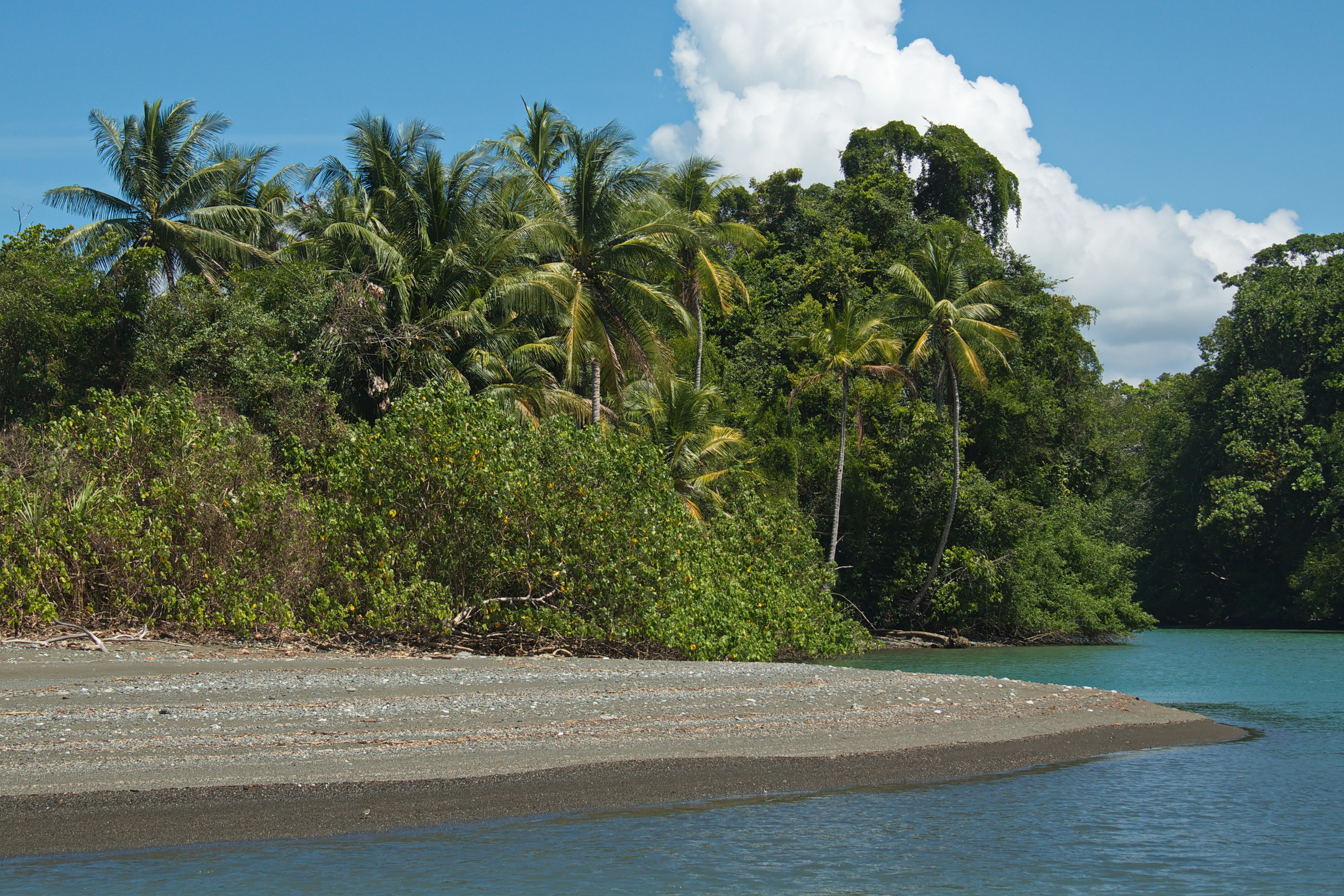 Coast at La Sirena station in Corcovado NP on peninsula Osa in Costa Rica,