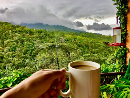 8 of the best places to drink coffee in Costa Rica