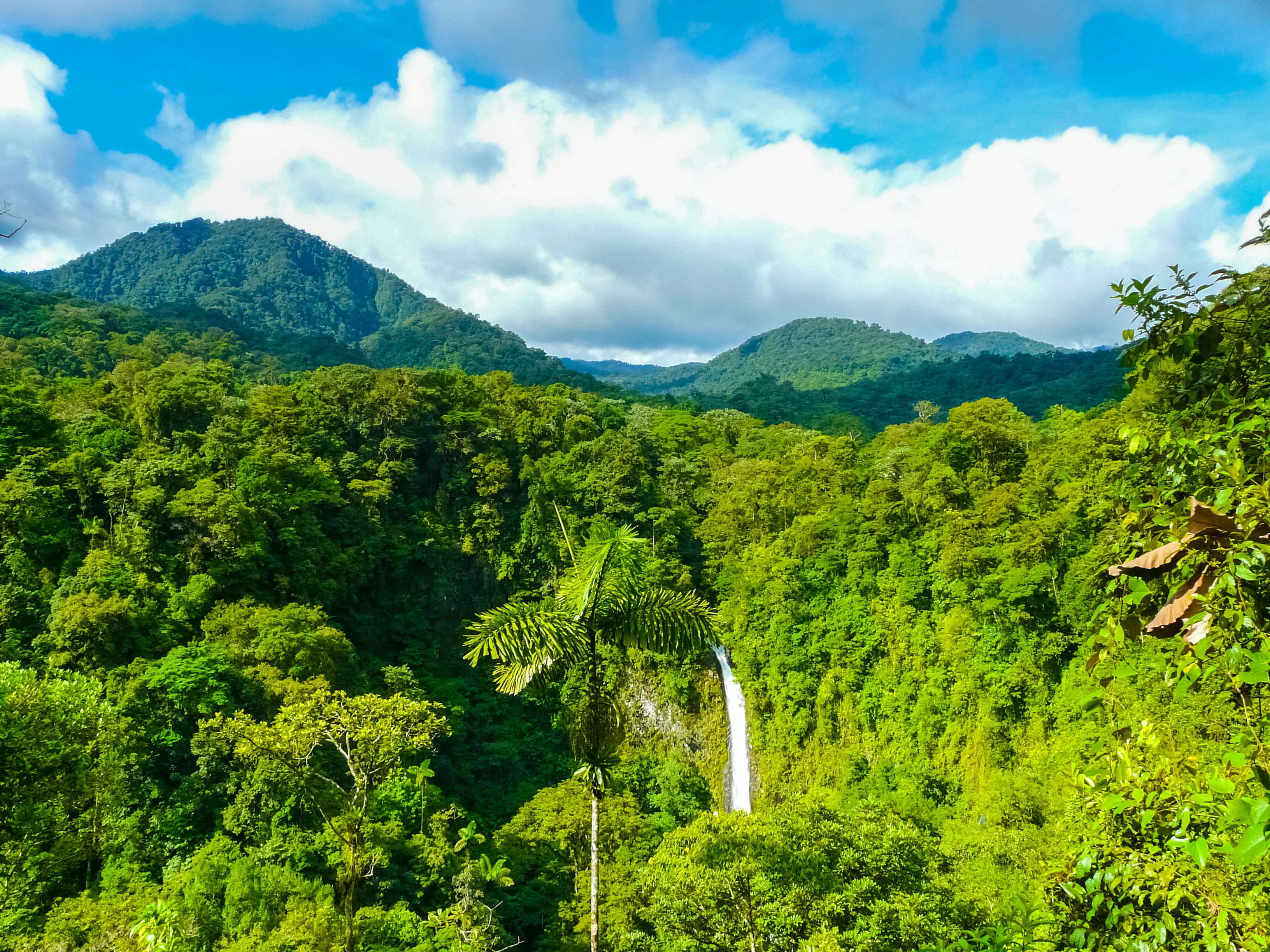 La Fortuna de San Carlos waterfall, Arenal volcano national park, Alajuela, San Carlos