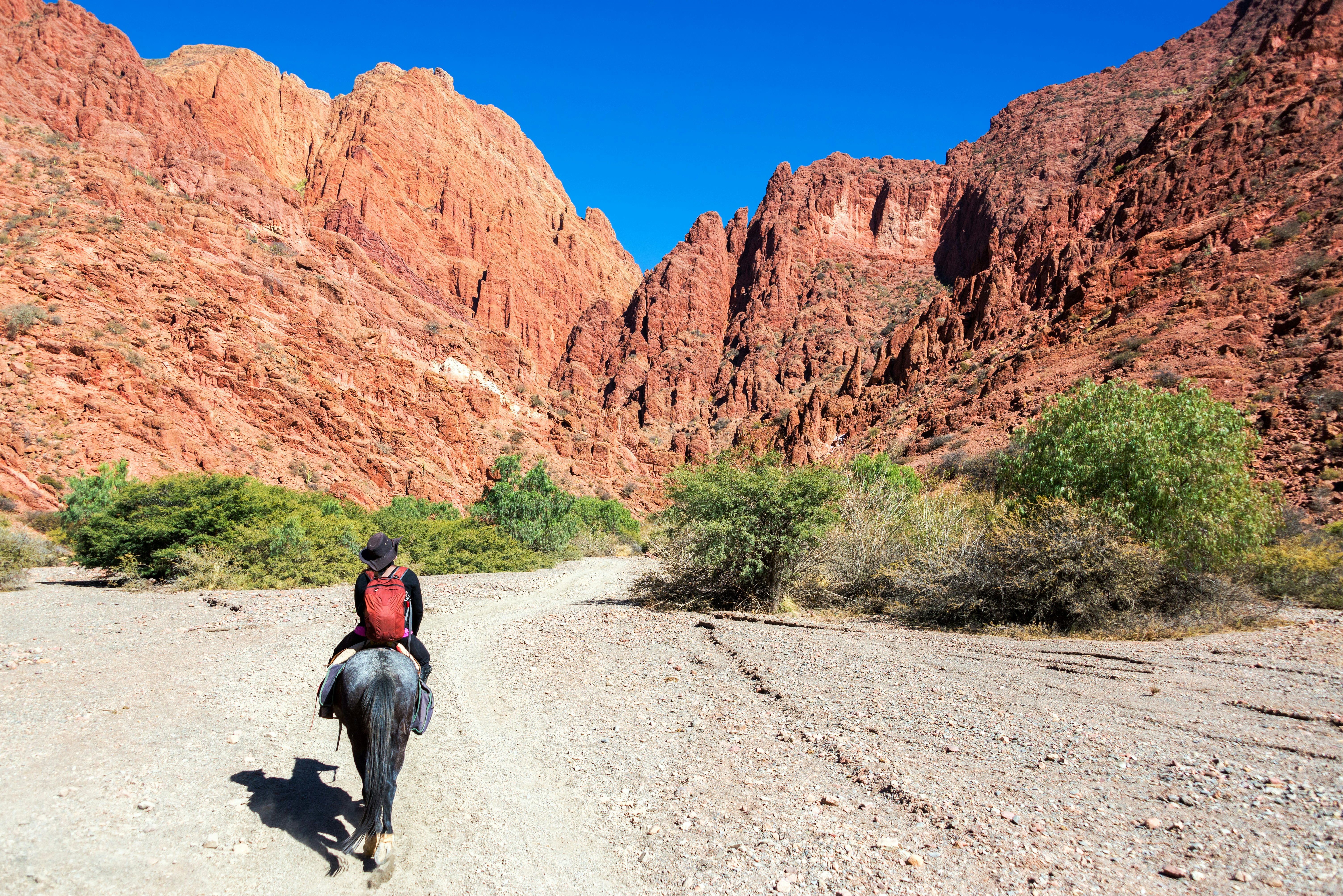 A woman rides horseback through a red canyon.