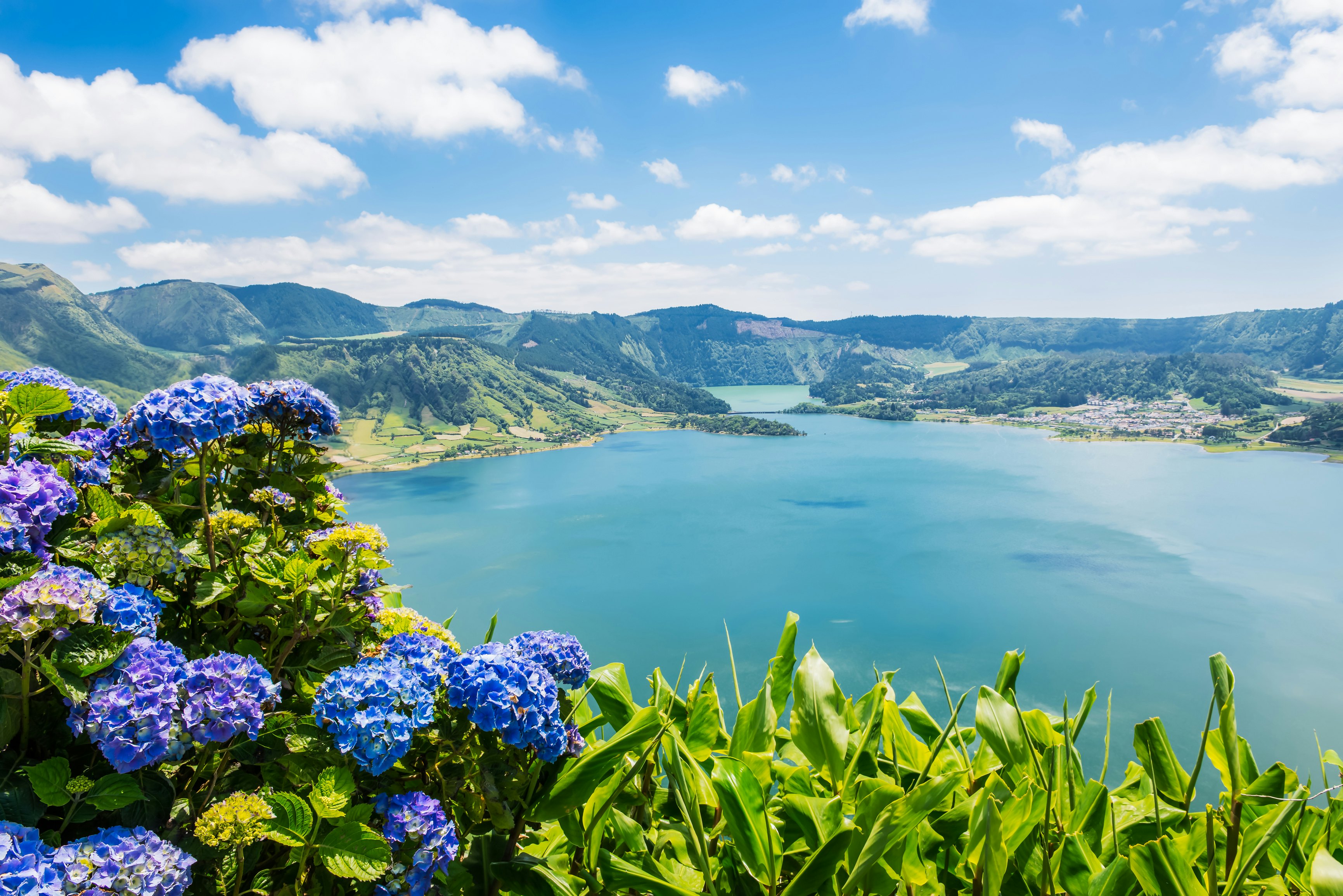 Lake of Sete Cidades with hortensia's, Azores, Portugal, Europe.