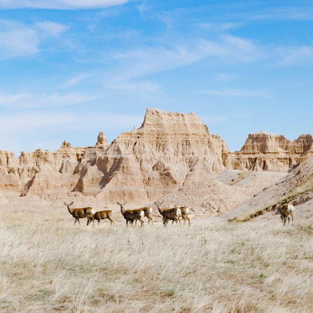 Badlands National Park Hiking Trail