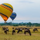 Balloon safari in Maasai Mara, Kenya with Wildebeest migration beneath., License Type: media, Download Time: 2024-08-23T19:54:38.000Z, User: joe_lp, Editorial: false, purchase_order: 36530, job: Global Publishing WIP, client: Your Ultimate Travel Adventure List, other: Joe Fullman