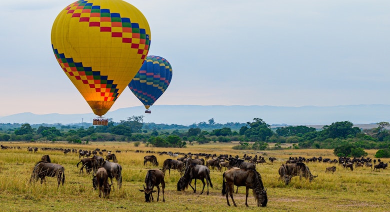 Balloon safari in Maasai Mara, Kenya with Wildebeest migration beneath., License Type: media, Download Time: 2024-08-23T19:54:38.000Z, User: joe_lp, Editorial: false, purchase_order: 36530, job: Global Publishing WIP, client: Your Ultimate Travel Adventure List, other: Joe Fullman