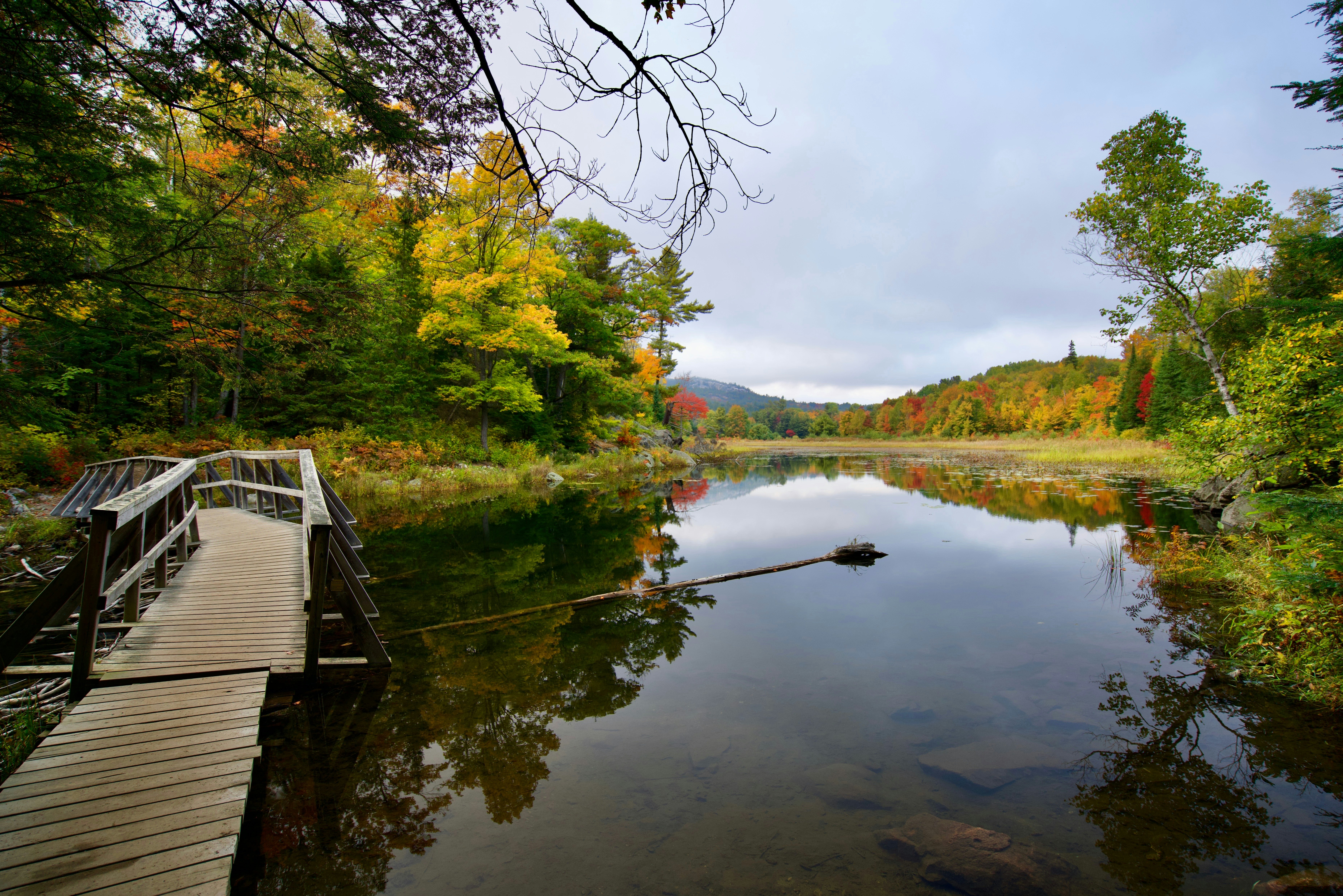 A wooden walkway over a clear, glassy finger of water in autumn in Ontario, Canada.