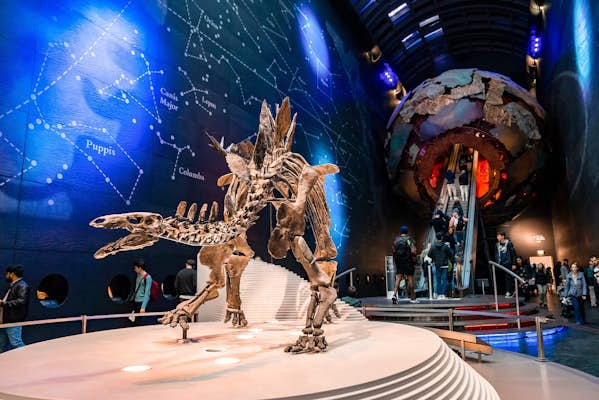The best things to do in London with kids - Lonely Planet