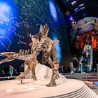 London, UK. June 10, 2022. Natural History museum - The most complete stegosaurus skeleton in the entrance to the museum.; Shutterstock ID 2234114459; purchase_order: 65050 - Digital Destinations and Articles; job: Online Editorial; client: Guide to visiting London with kids; other: Malecia Walker
2234114459