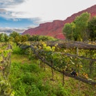Valley next to the Cinti canyon, Camargo, area where the first vine crops were planted for the production of wine in Bolivia, License Type: media, Download Time: 2025-08-18T11:51:38.000Z, User: clairenaylor, Editorial: false, purchase_order: 65050 - Digital Destinations and Articles, job: Online editorial, client: Bolivia things to do, other: Claire Naylor