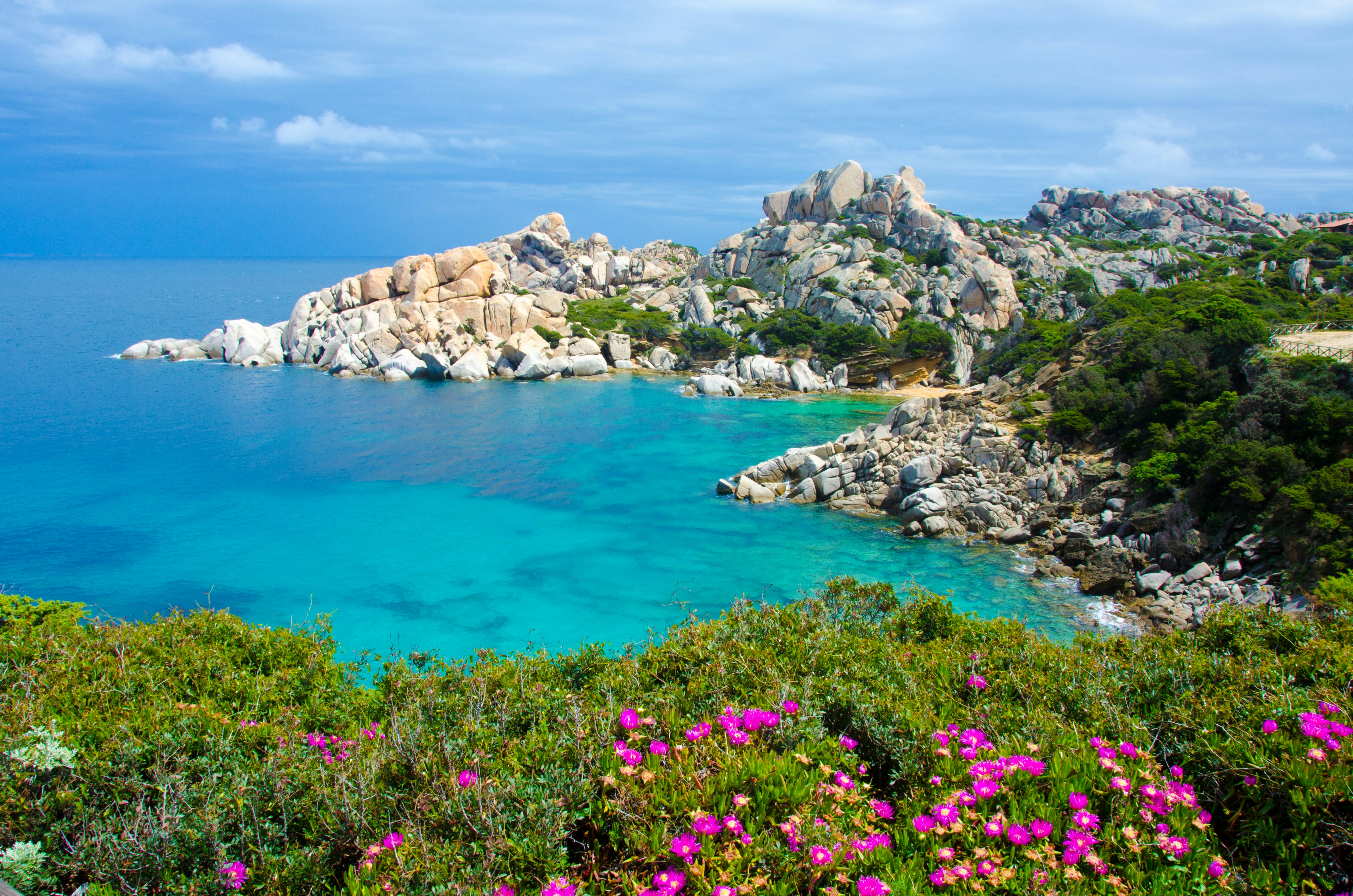 Capo Testa on the Sardinian Coast, with bright fuchsia flowers in the foreground, and rocks and greenery all around.