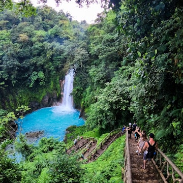 January 6,2024: Rio Celeste, Costa Rica: Rio Celeste Waterfall and pond in Tenorio Volcano National Park, Alajuela Province, Costa Rica, License Type: media, Download Time: 2025-05-16T11:54:46.000Z, User: gwencotter, Editorial: true, purchase_order: 56530 - Guidebooks, job: Global Publishing-WIP, client: Experience Costa Rica 2, other: Gwen Cotter
