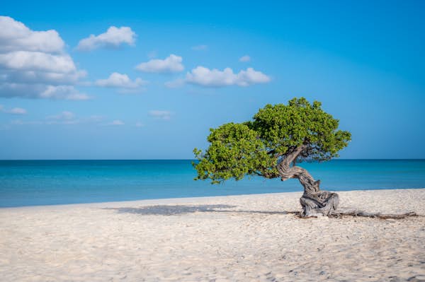 Aruba's best beaches (and one amazing swimming hole!)