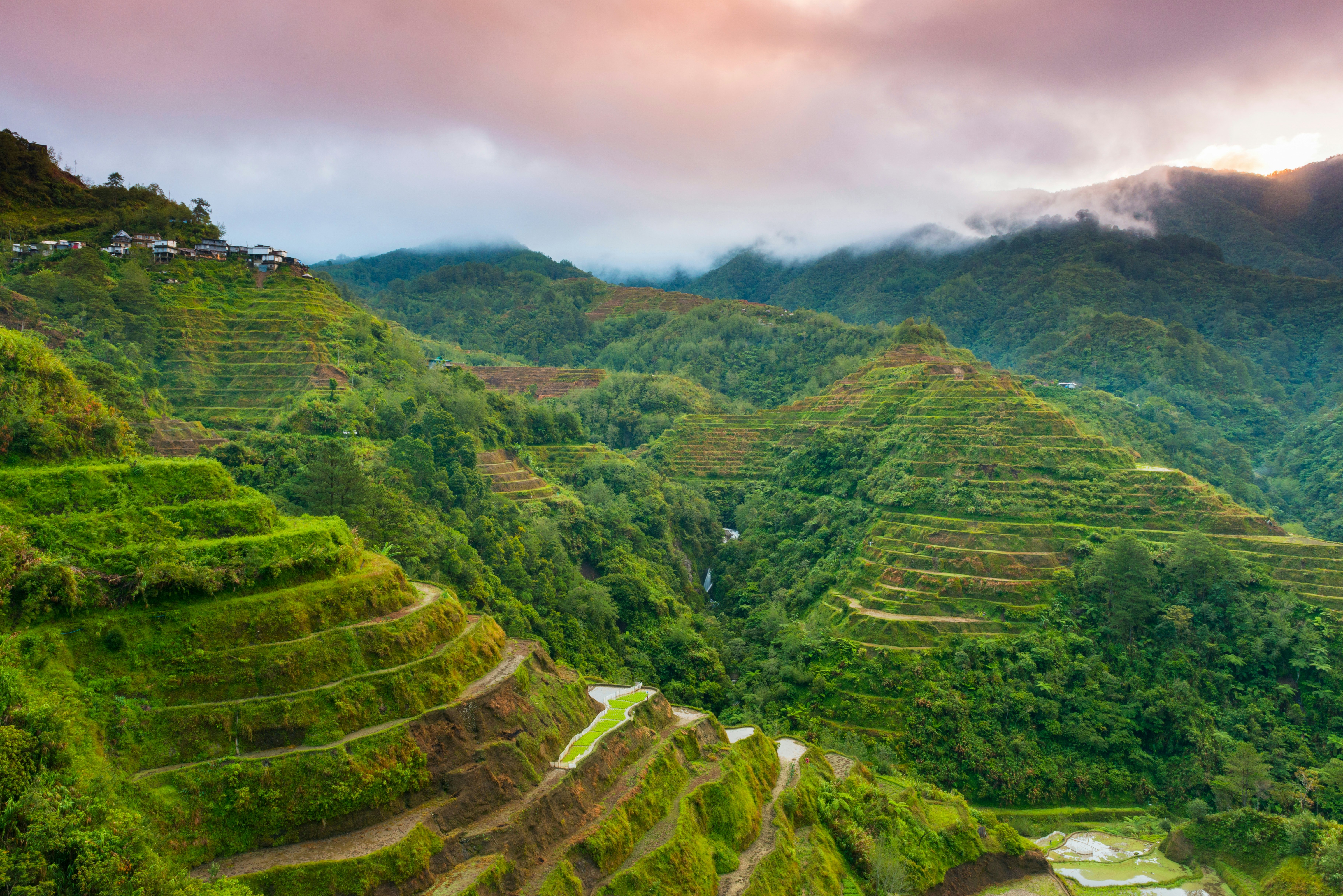 Rice terraces in Banaue