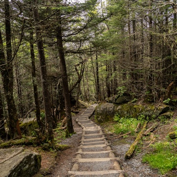 Great Smokey Mountains National Park, North Carolina, USA - May 29, 2024: Hiking trails in the Smokey Mountains are huge tourist attraction. This park is the most visited in USA. , License Type: media, Download Time: 2025-03-11T20:12:33.000Z, User: rhylton_redventures, Editorial: false, purchase_order: 56530 - Guidebooks, job: Lonely Planet , client: Lonely Planet WIP, other: Rhianydd Hylton
