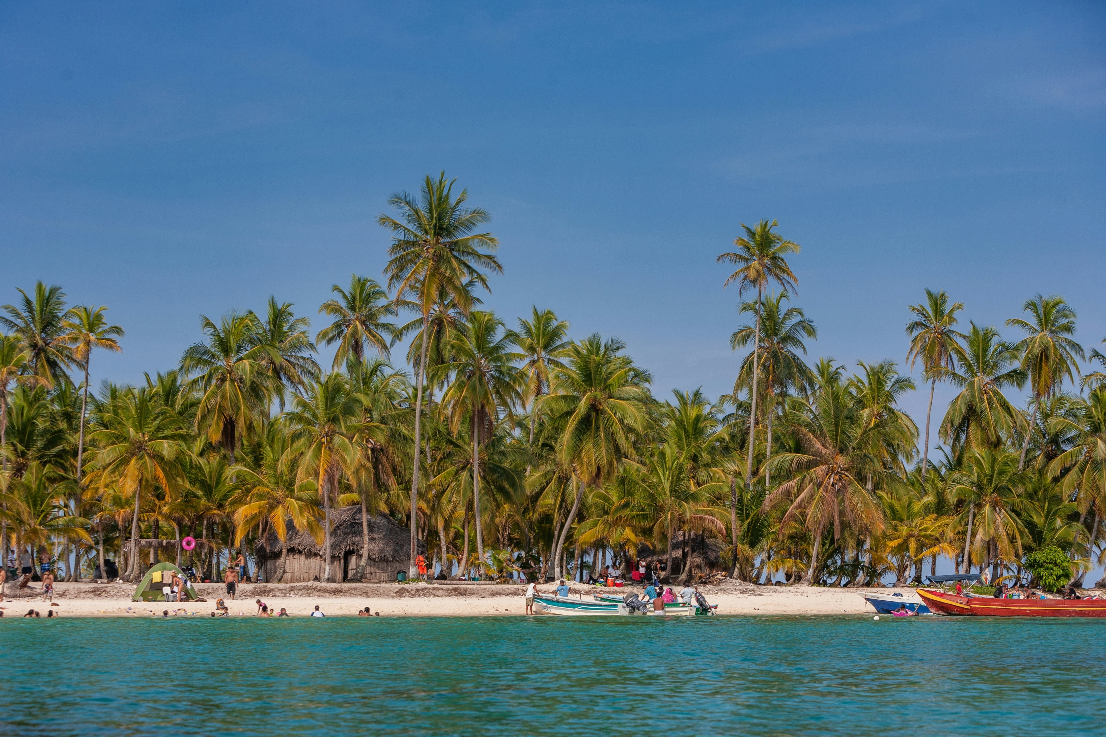 A beachfront with a cluster of palm trees behind it. People are scattered about the shore, either on sand on or in the water. Some small boats are also in the water.