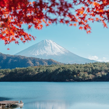 Mount Fuji view at Lake Saiko in Autumn season. Mt Fujisan in Fujikawaguchiko, Yamanashi, Japan. Landmark for tourists attraction. Japan Travel, Destination, Vacation and Mount Fuji Day concept, License Type: media, Download Time: 2025-05-28T09:21:45.000Z, User: lonelyplanetmedia, Editorial: false, purchase_order: 65050 - Digital Destinations and Articles, job: Global Publishing WIP, client: Global Publishing WIP, other: Peterson Haggarty // SS Comp Ingestion