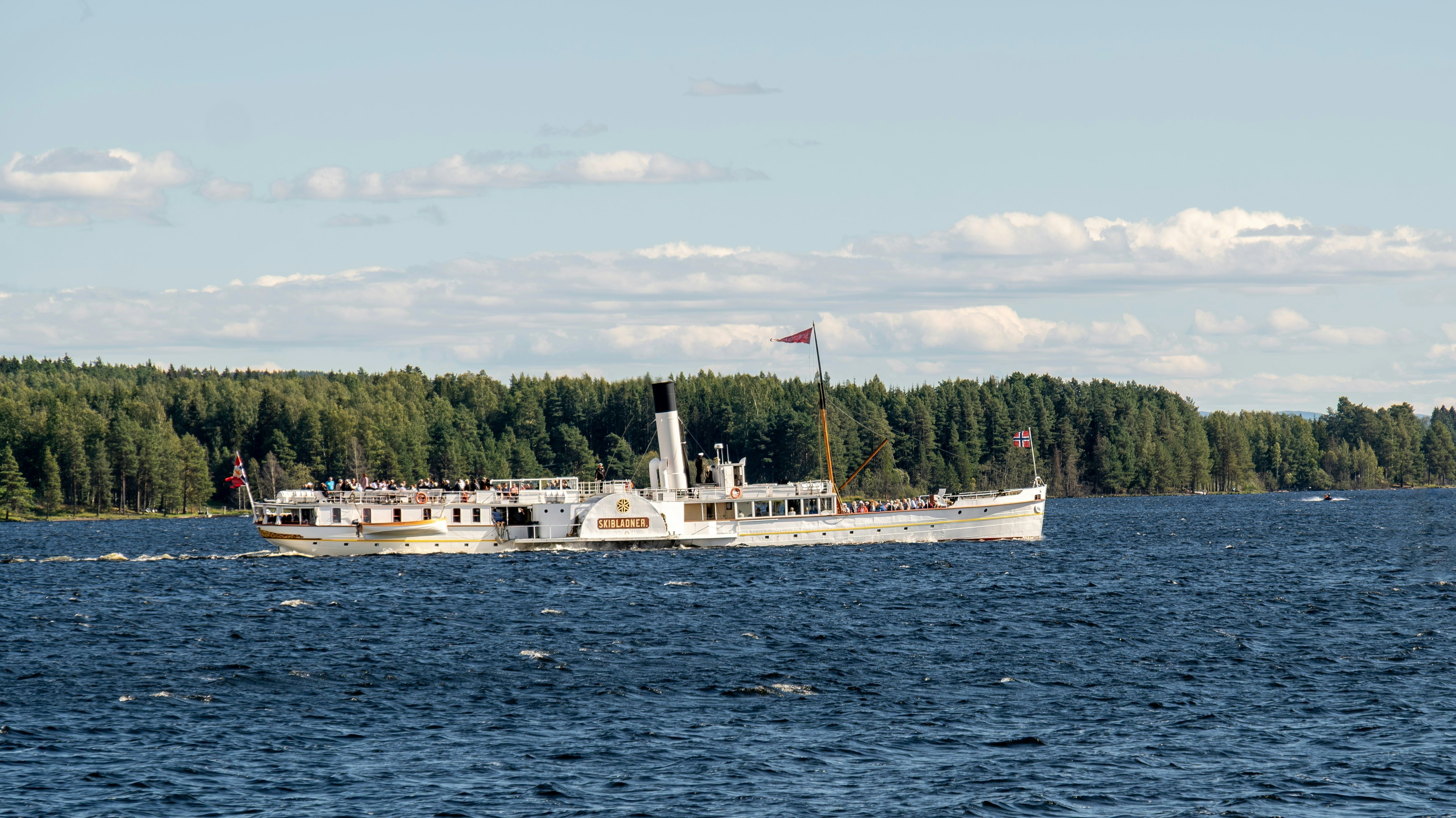 A white paddle boat on a lake in Norway, with pine trees along the shore.