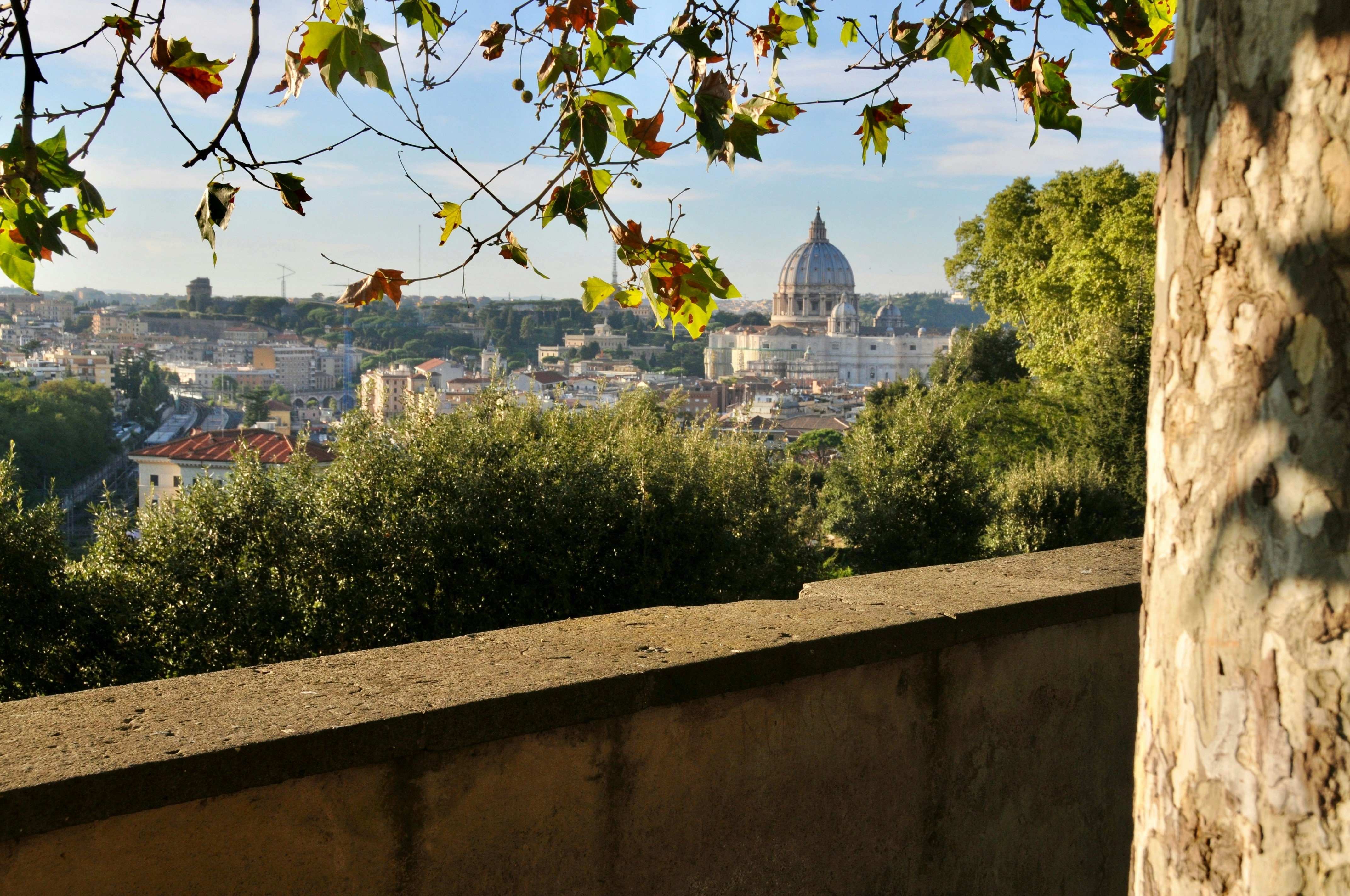 A View of St. Peter’s Basilica and the Vatican and Rome Skyline from Gianicolo Hill, Rome