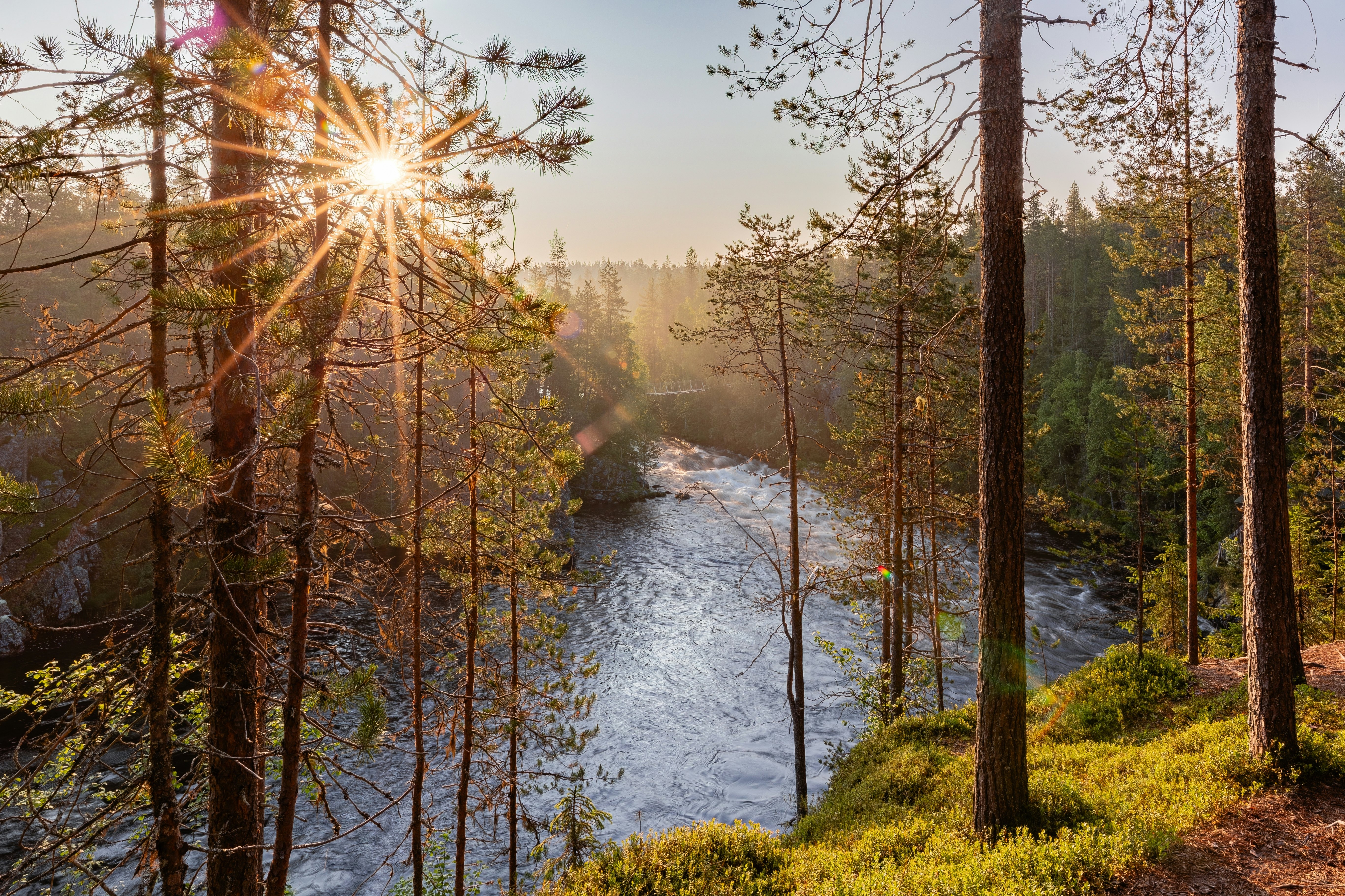 Rushing rapids cut through a beautiful forest in Finland, with the setting sun in the distance.