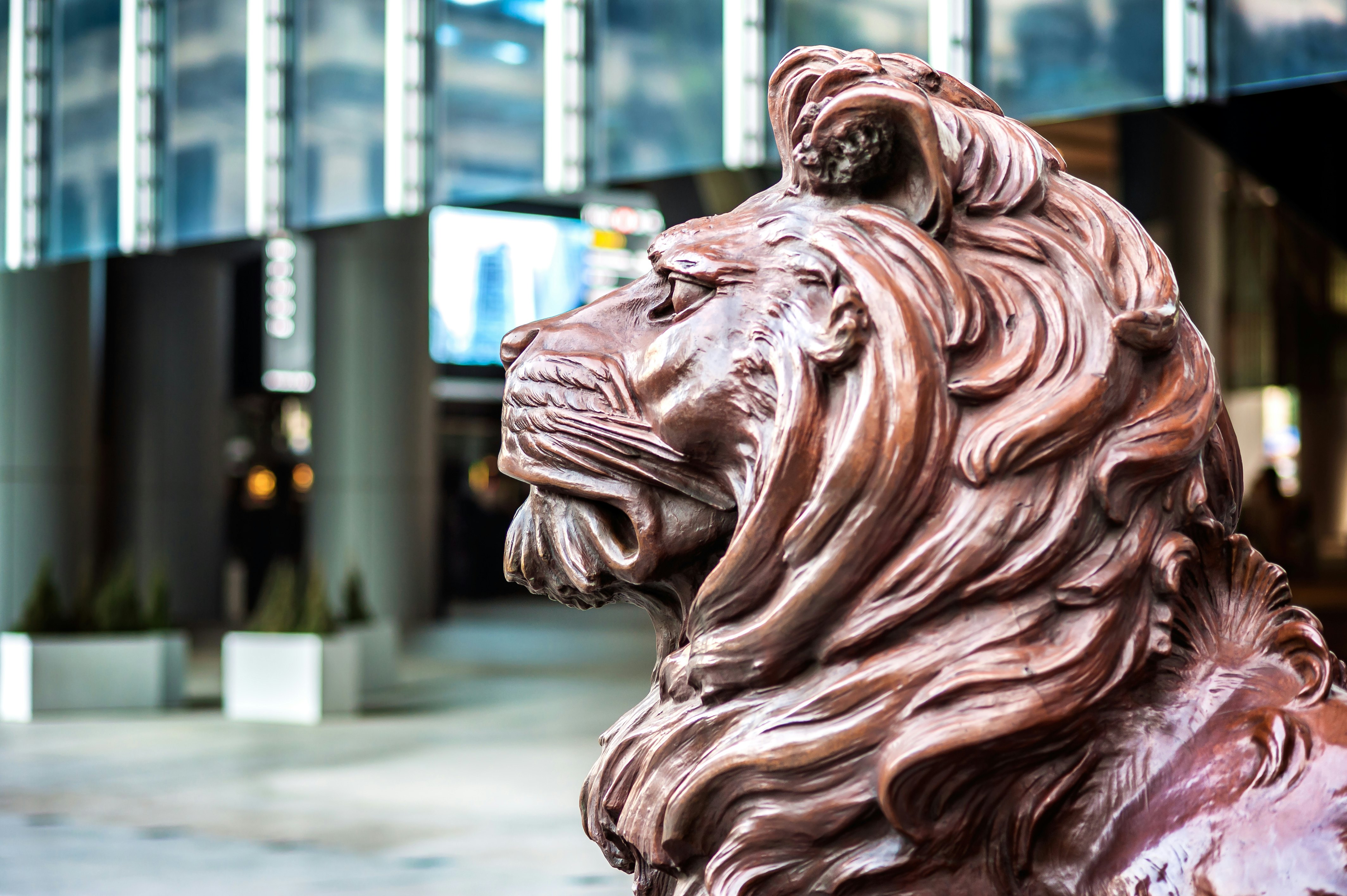 One of the two bronze lion statues at the entrance to HSBC's Hong Kong headquarters.