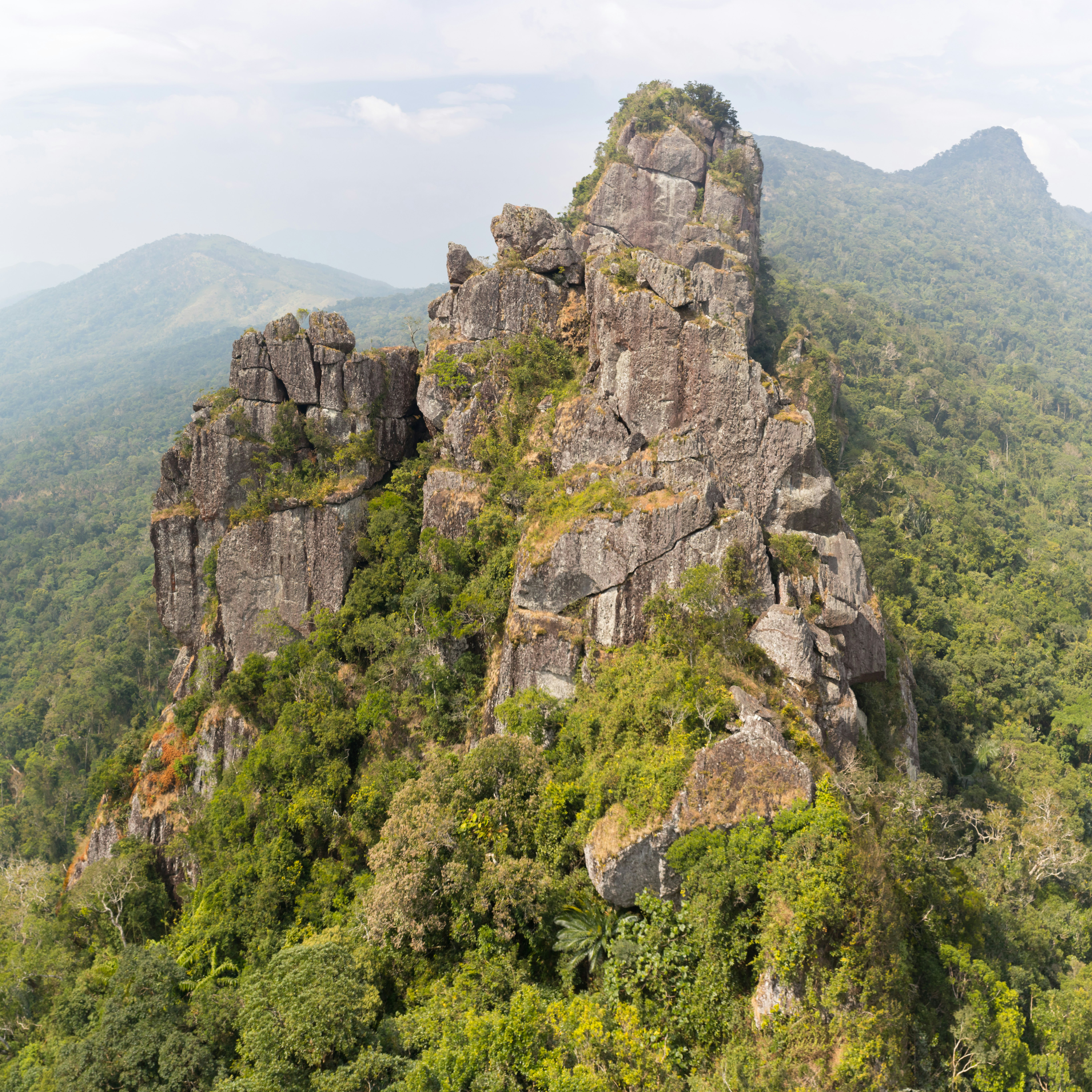 Rainforest scenery at Seven Fairy Mountain (Qixianling) in Hainan.