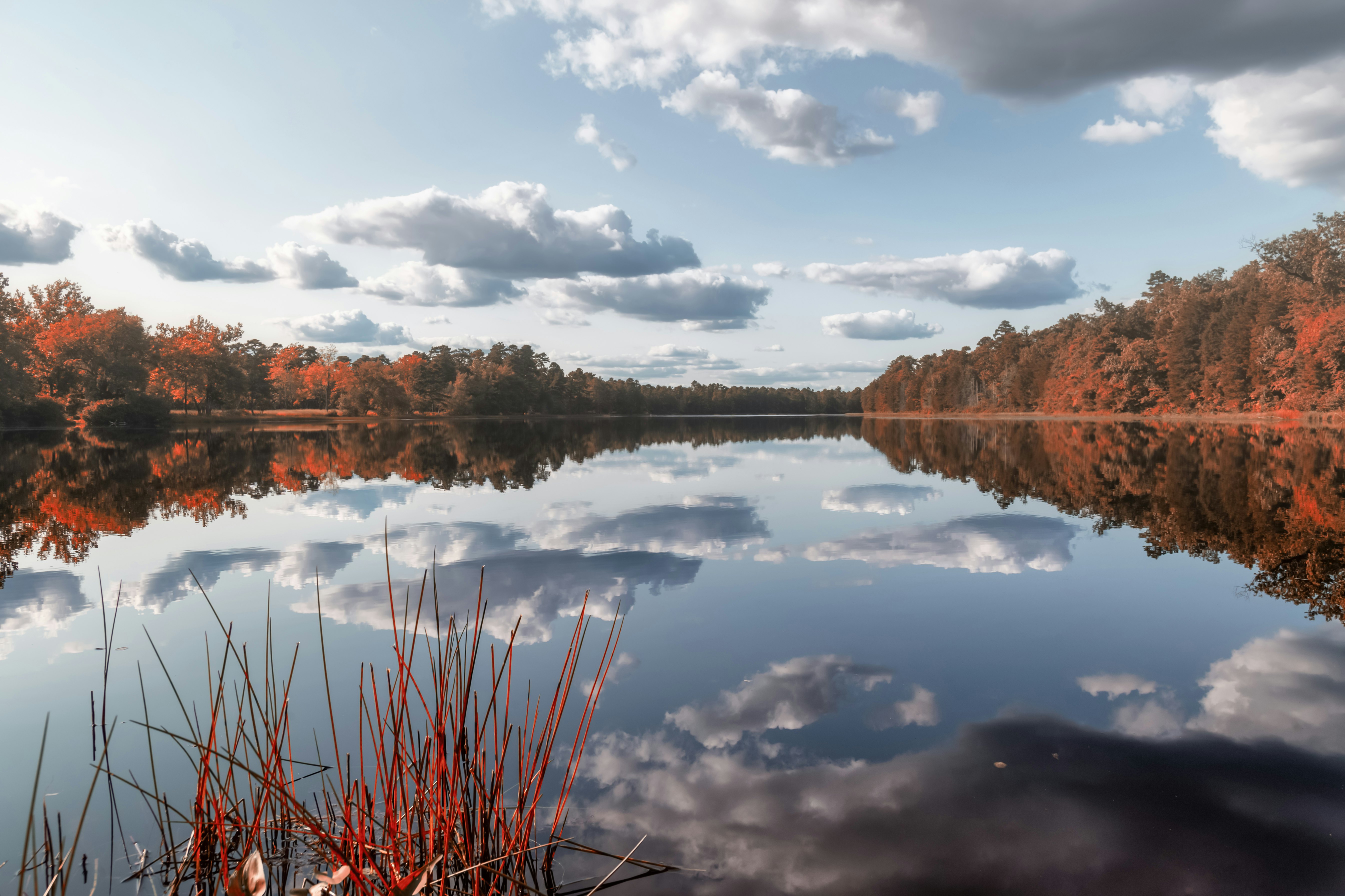 Clouds reflecting off a lake surrounded by colorful trees