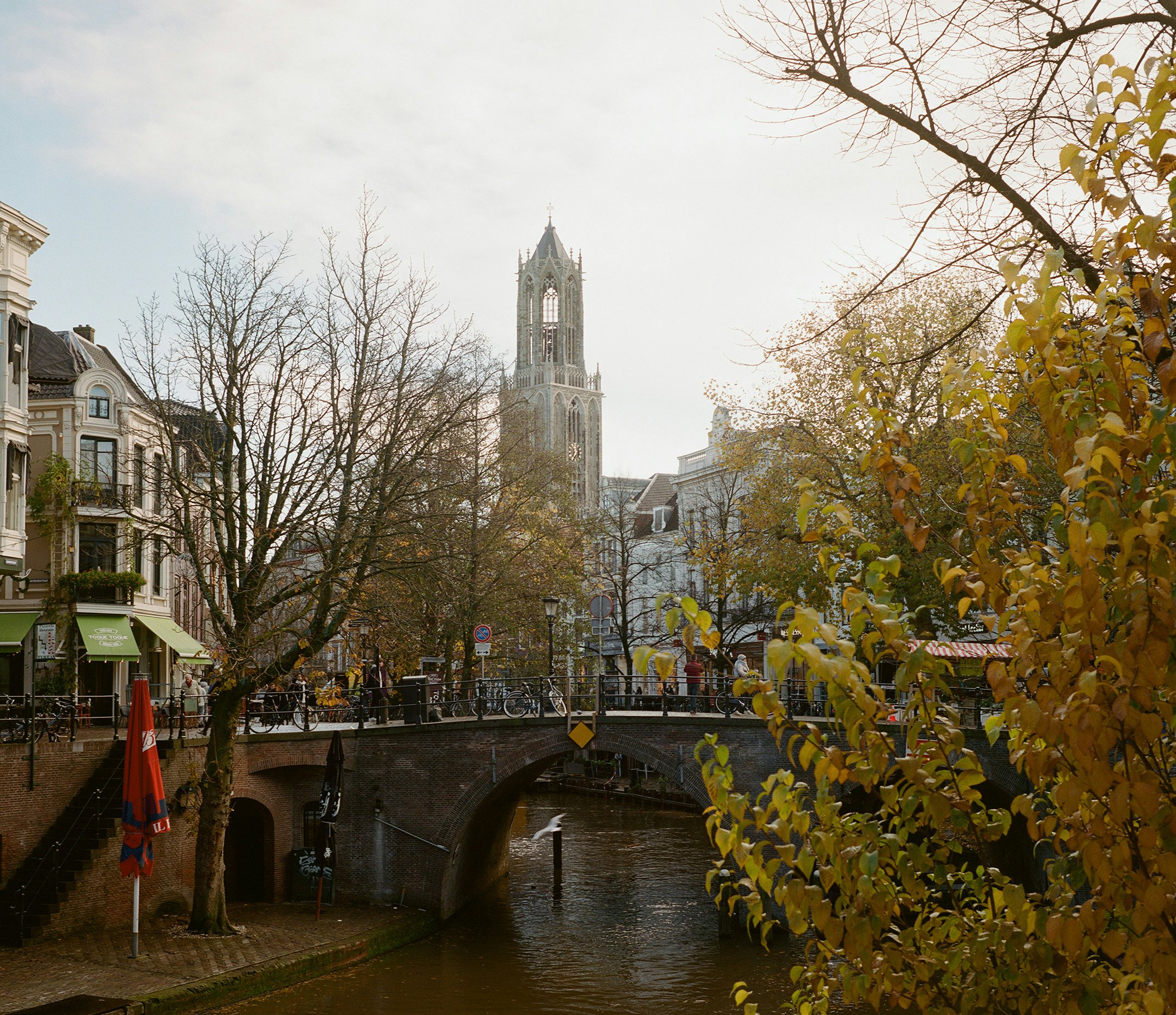 A bride over a canal with a tall tower in the distance